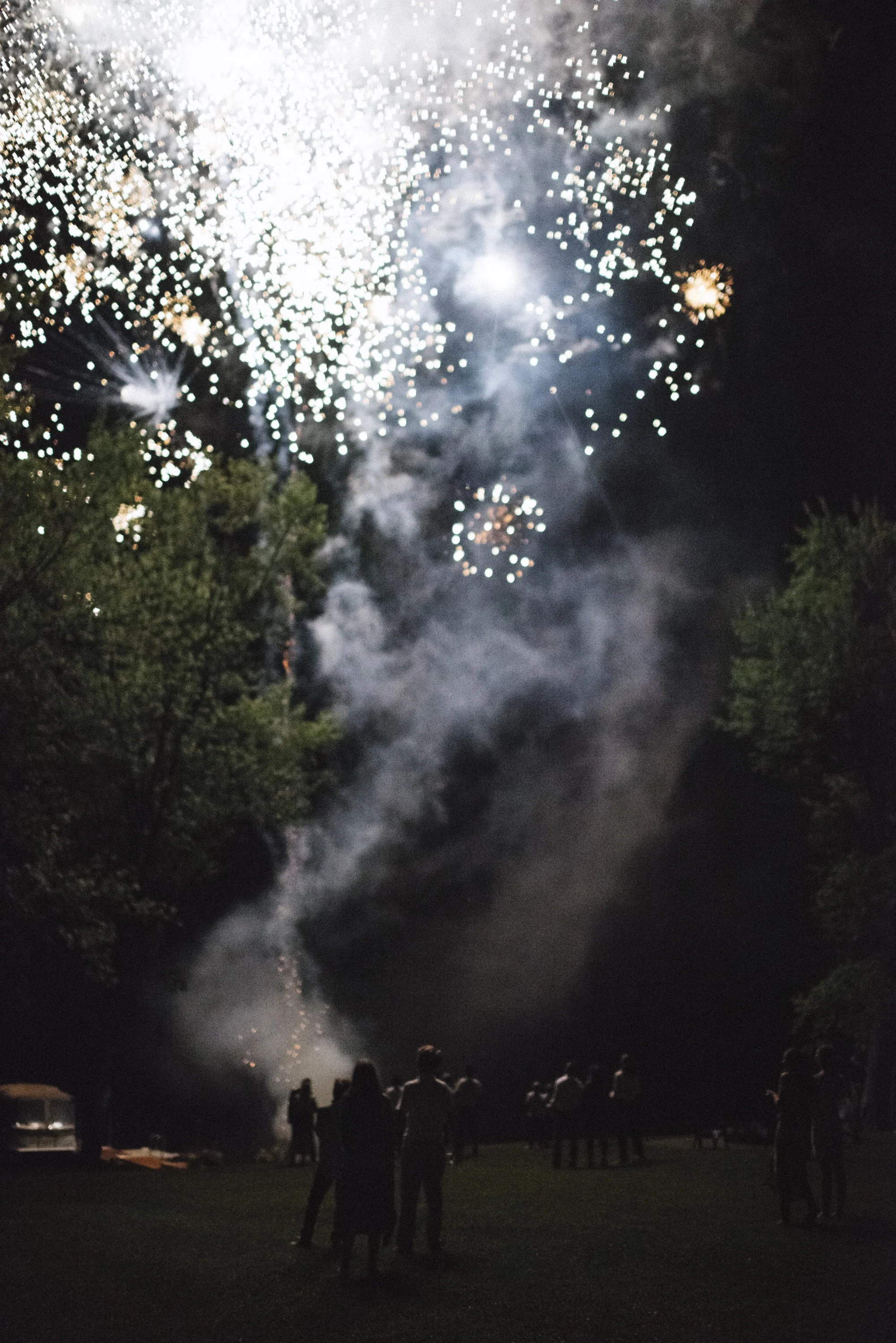 DSC_3204.jpg