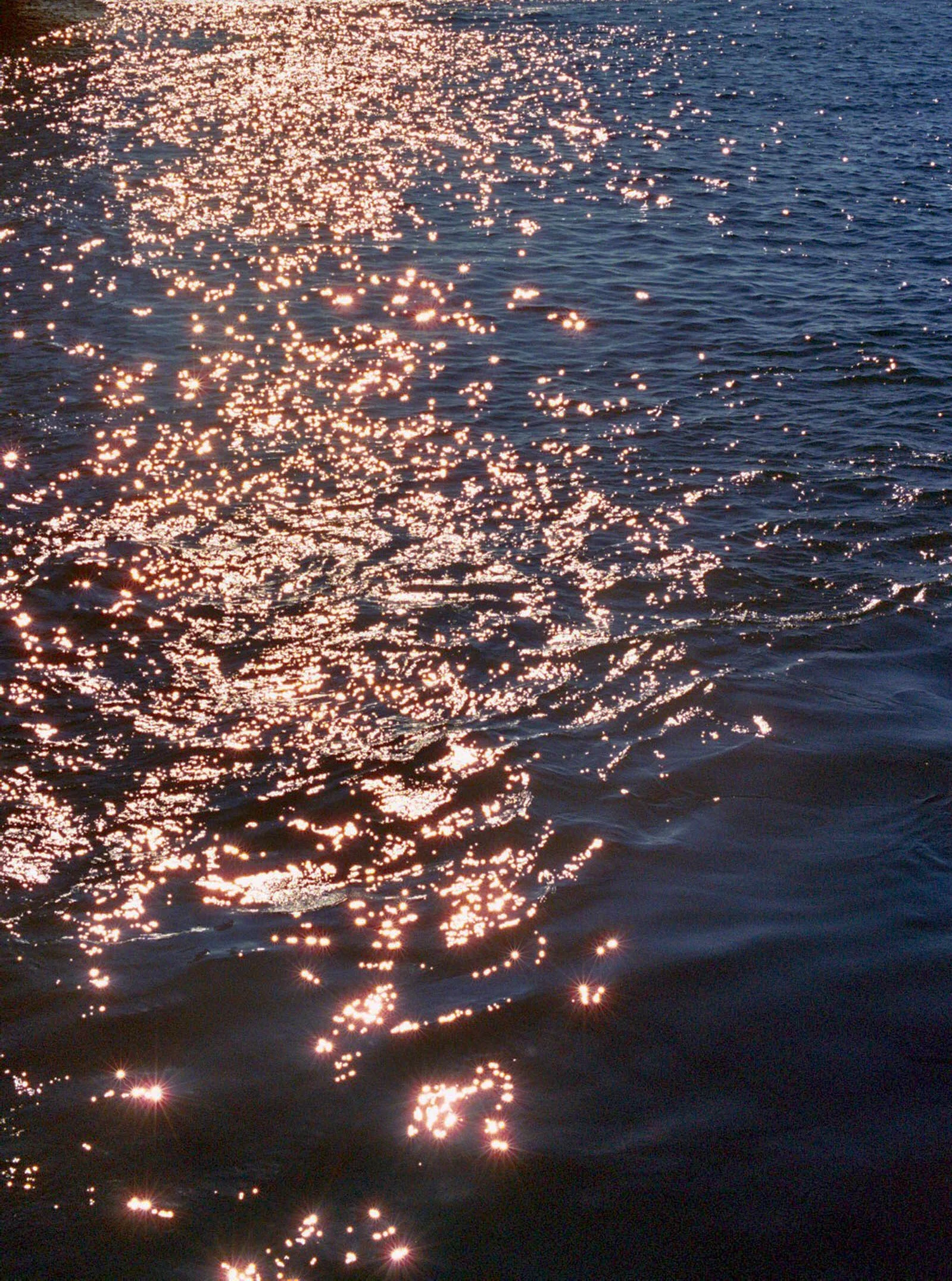 _0A_0043.jpg