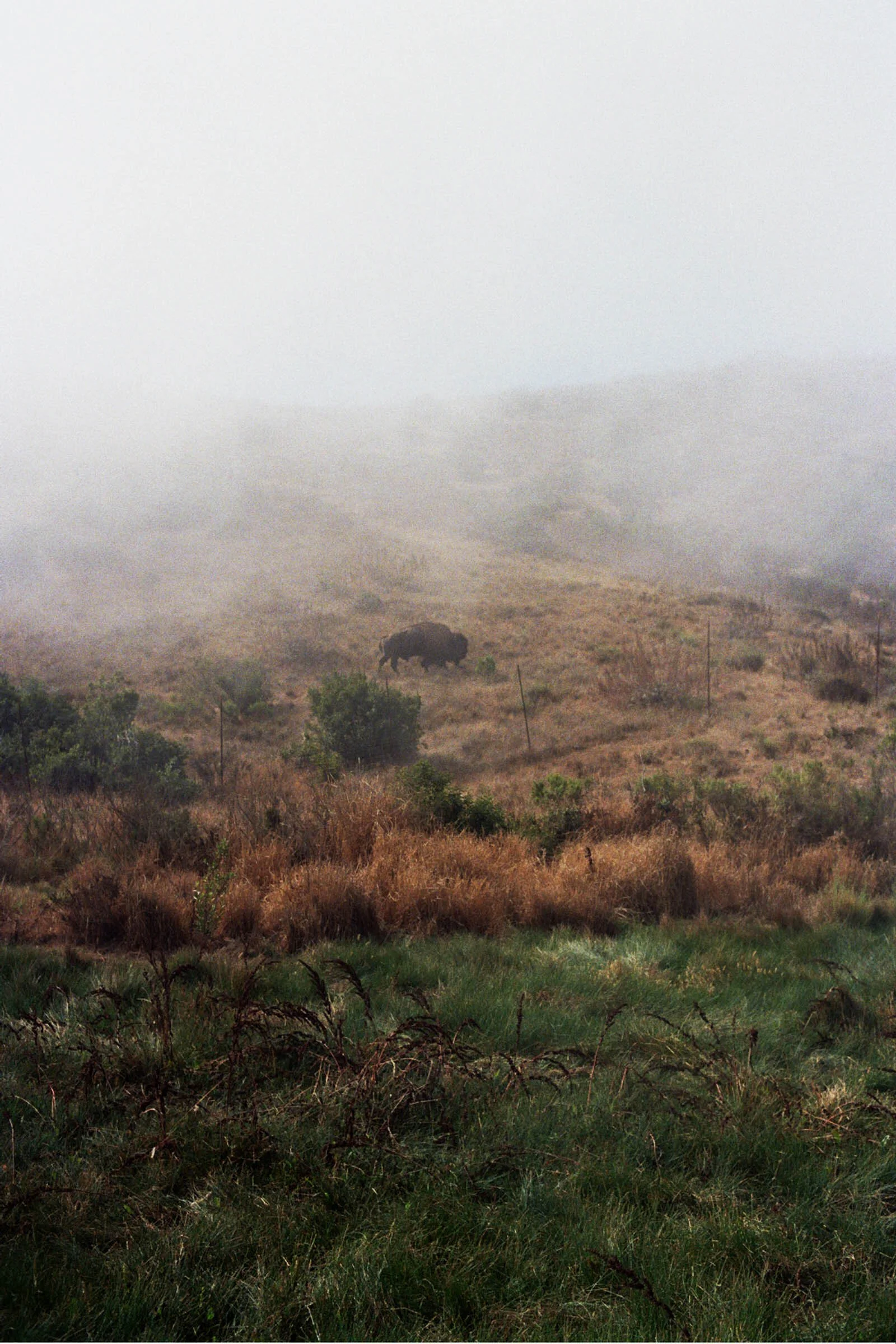 __5_0415.jpg