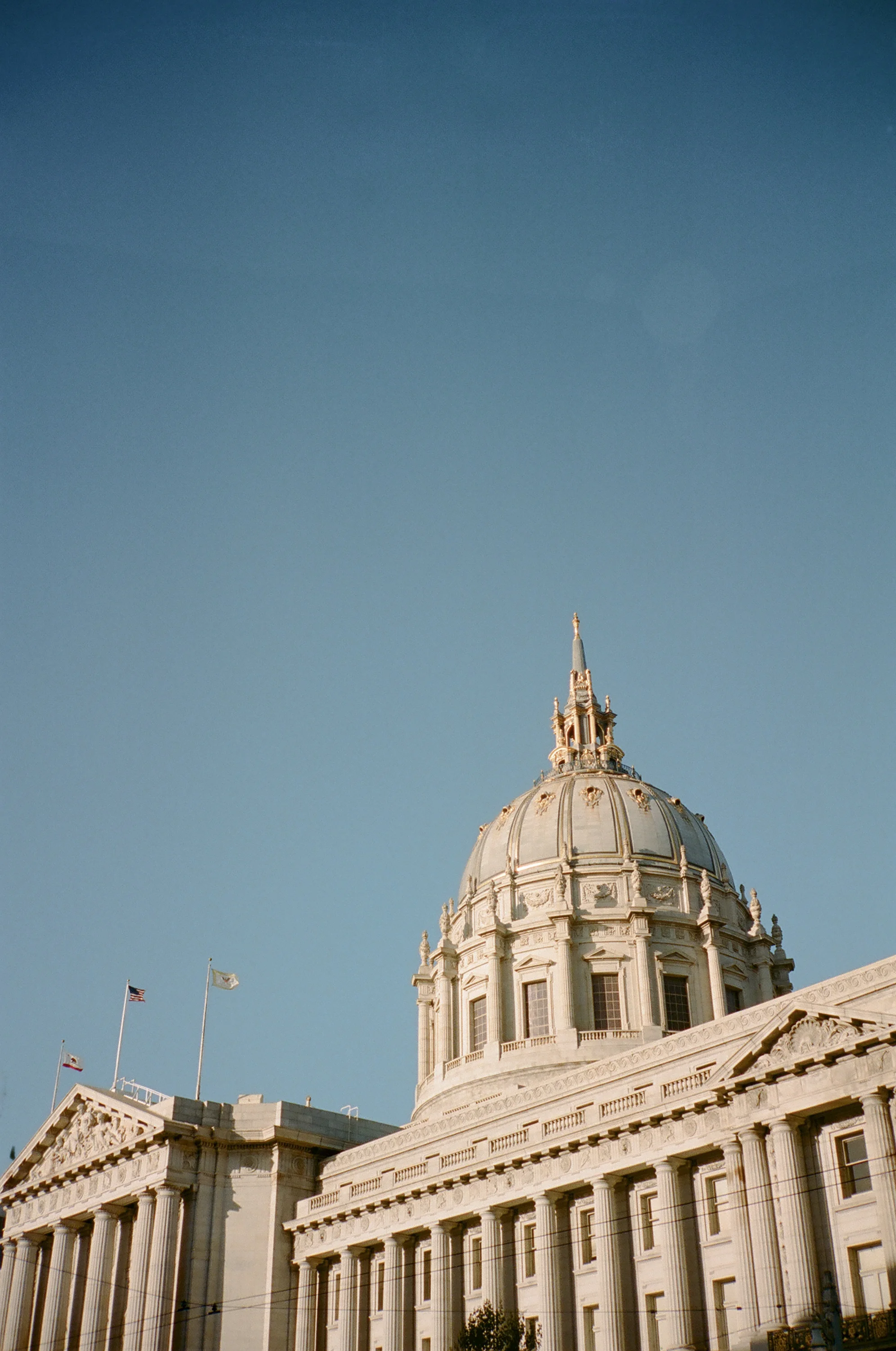 26190037.jpg