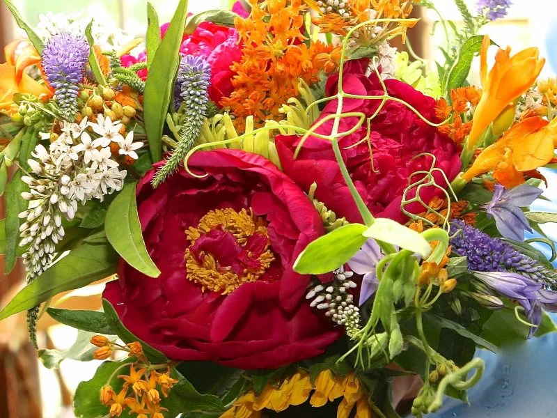 designsbyellen065.jpg