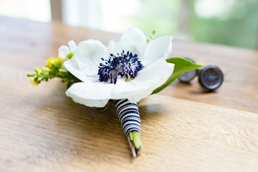 Kate Haus Photography