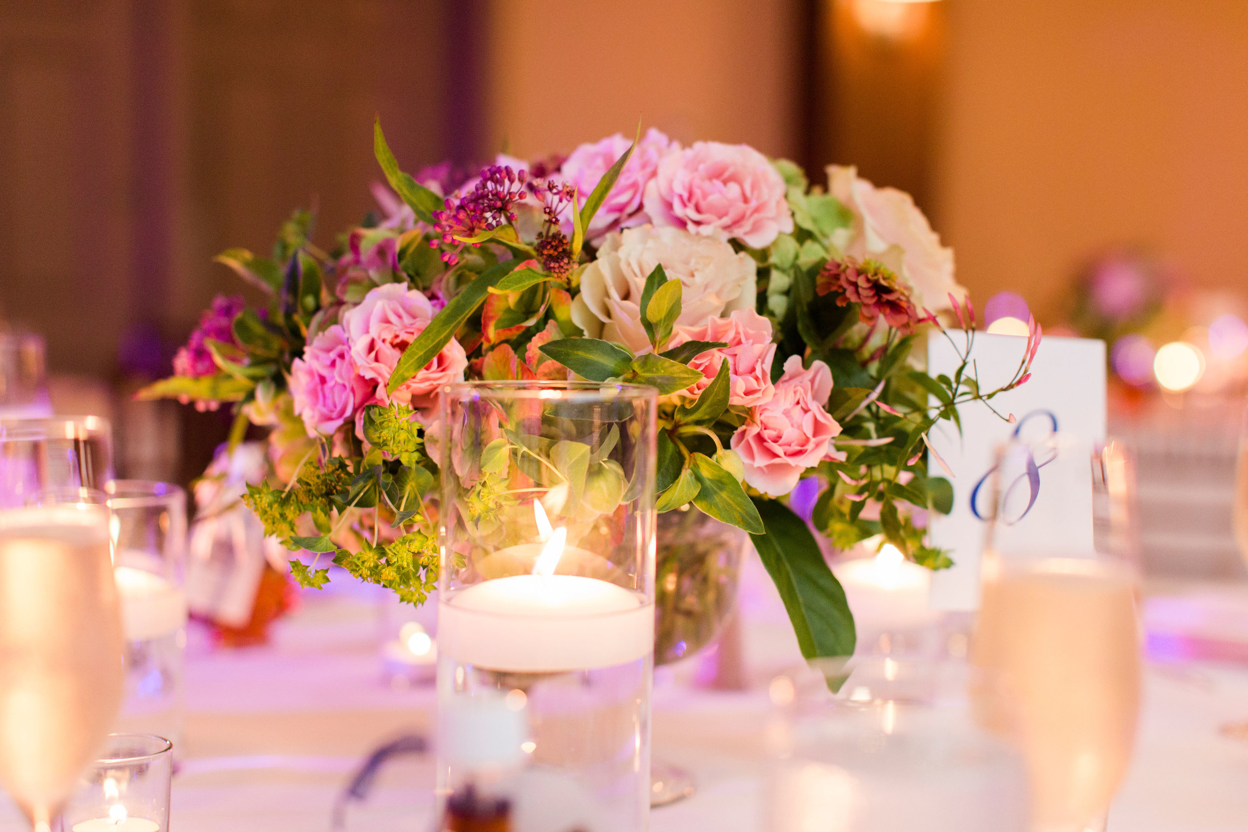 Abi Elaine Photography