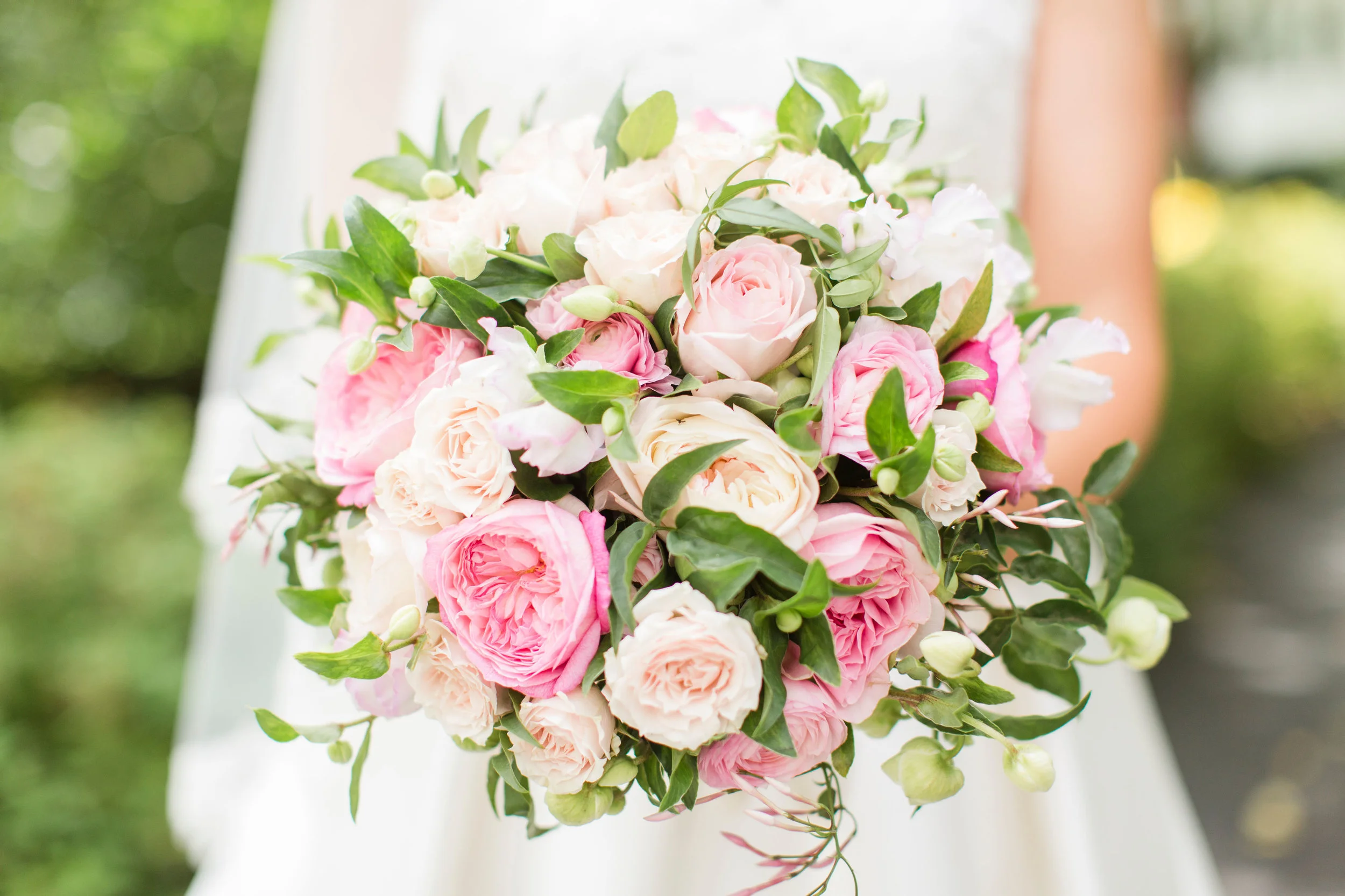 Abi Elaine Photography
