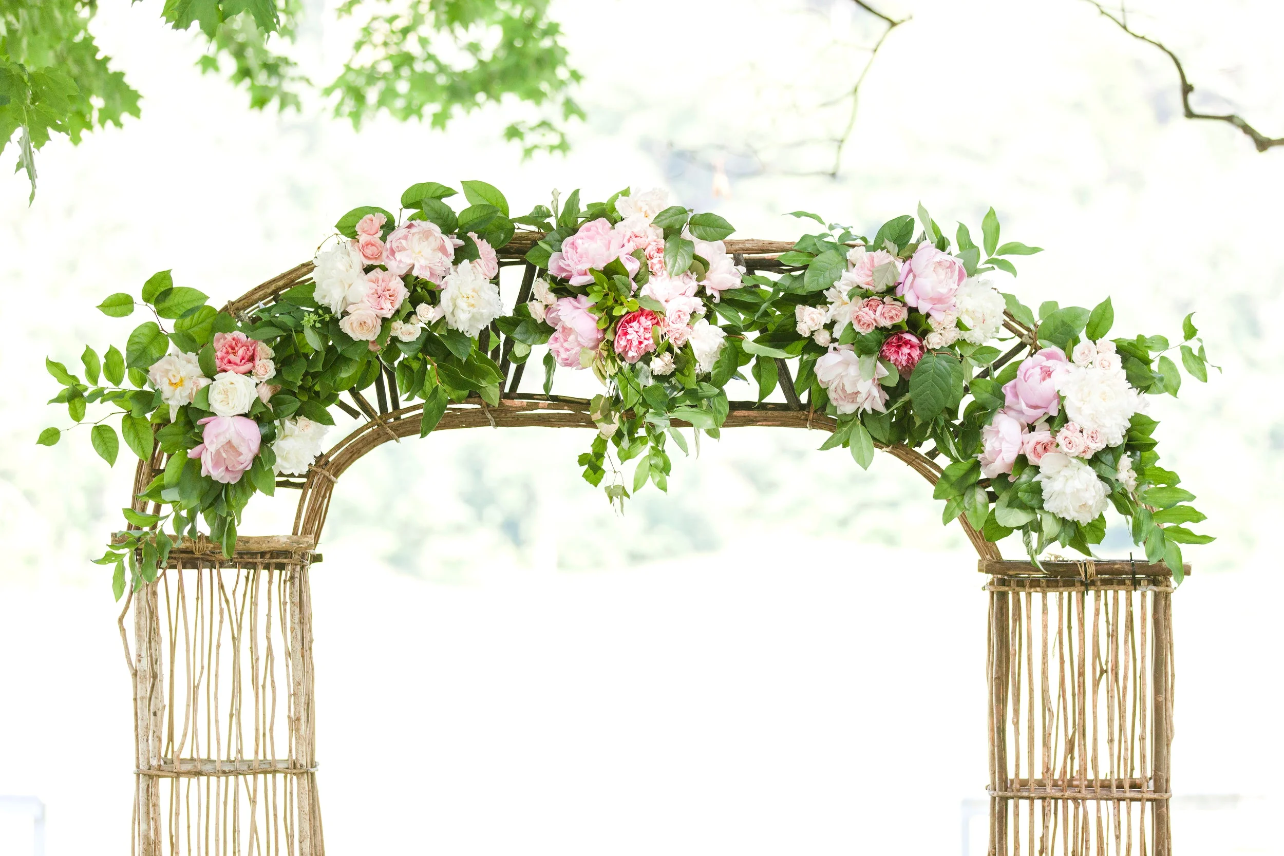 Abi Elaine Photography