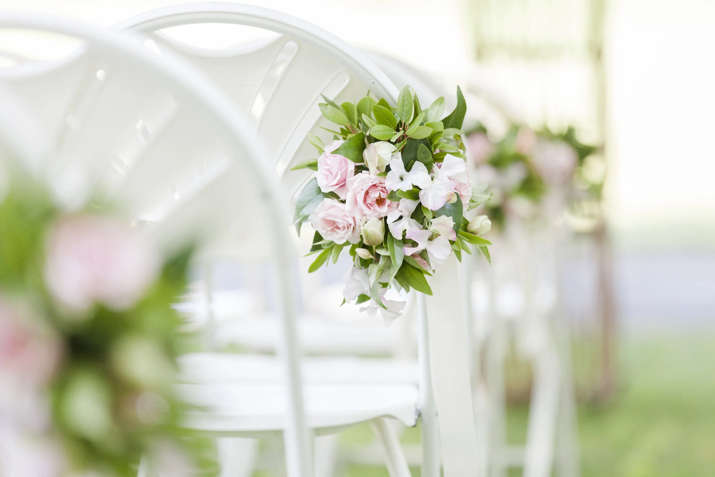 Abi Elaine Photography