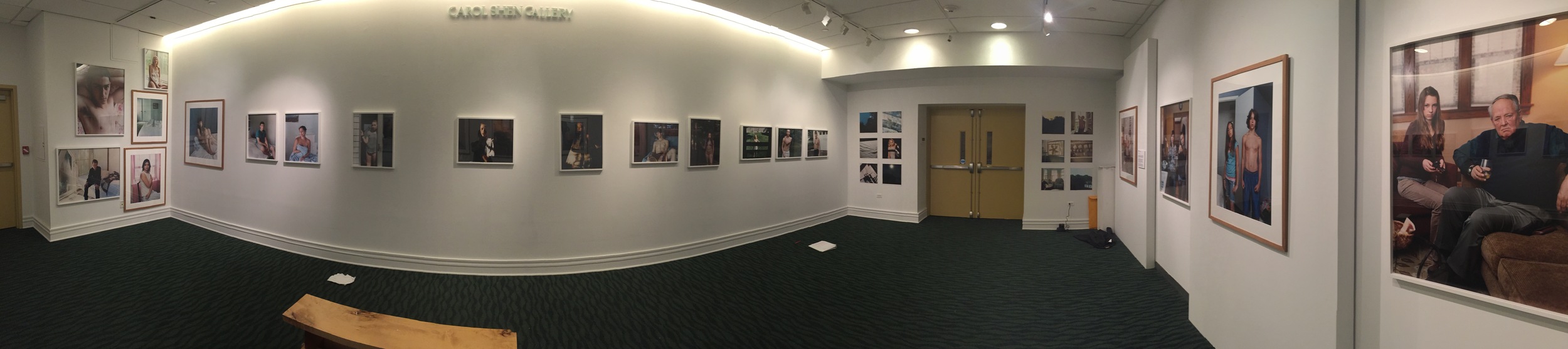 Solo Show at the Shen Gallery, Brooklyn: October 2015
