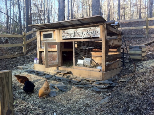 Chicken coop.