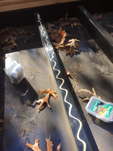 Construction adhesive on each beam. The leaves fall faster than I can remove them! It's nice working outside...for now.