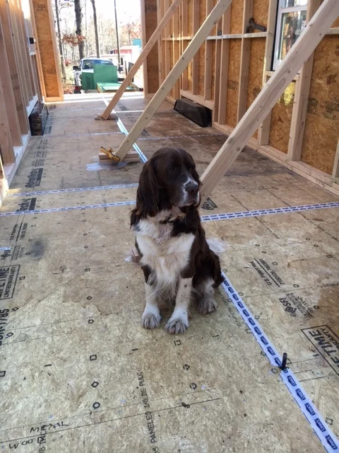 Hudson visits from time to time to check on progress. He's decent company, but I've got to talk to him about his productivity. 