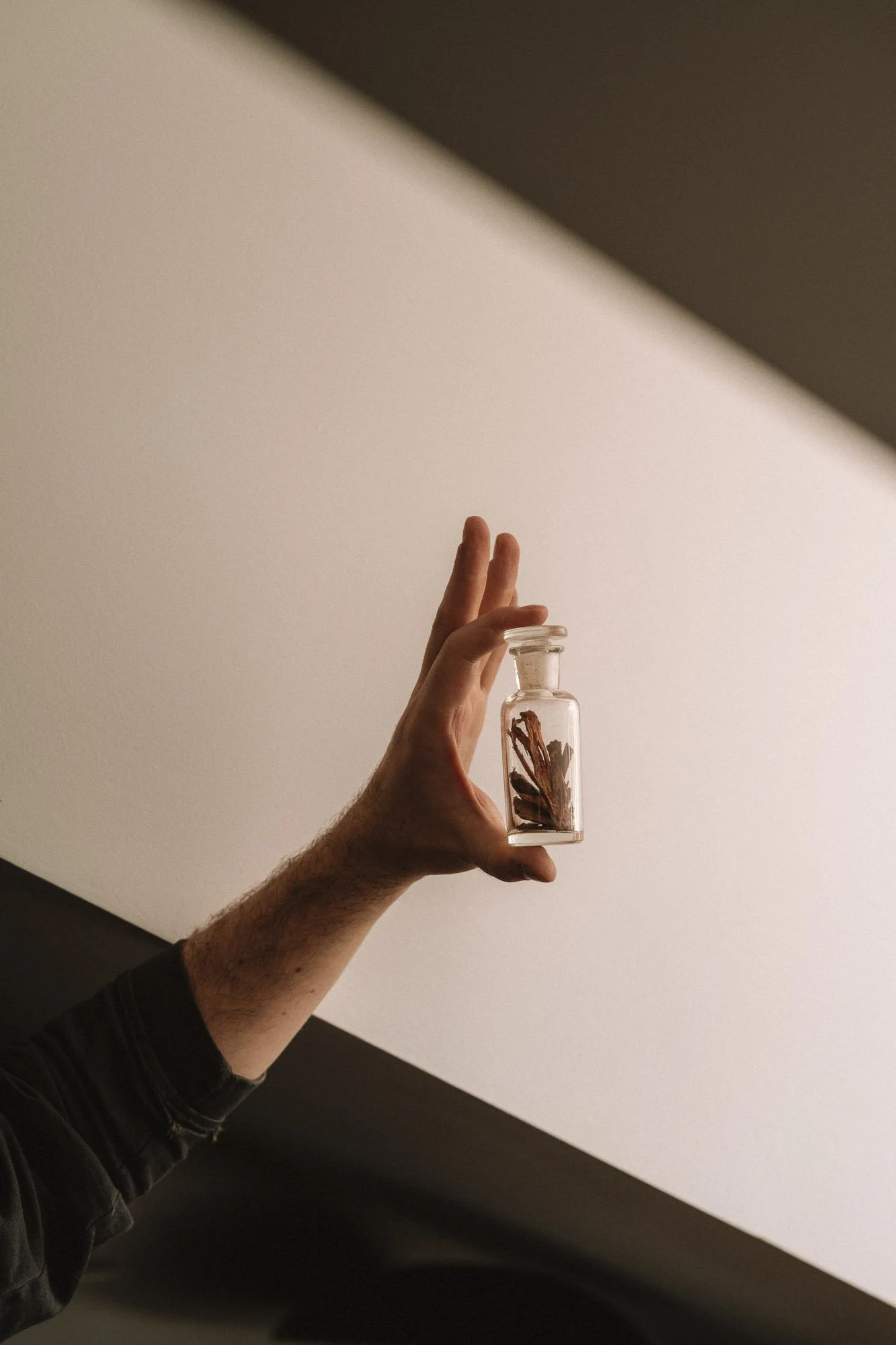 Aoiro_Scent_Ignant_Clemens_Poloczek-7.jpg