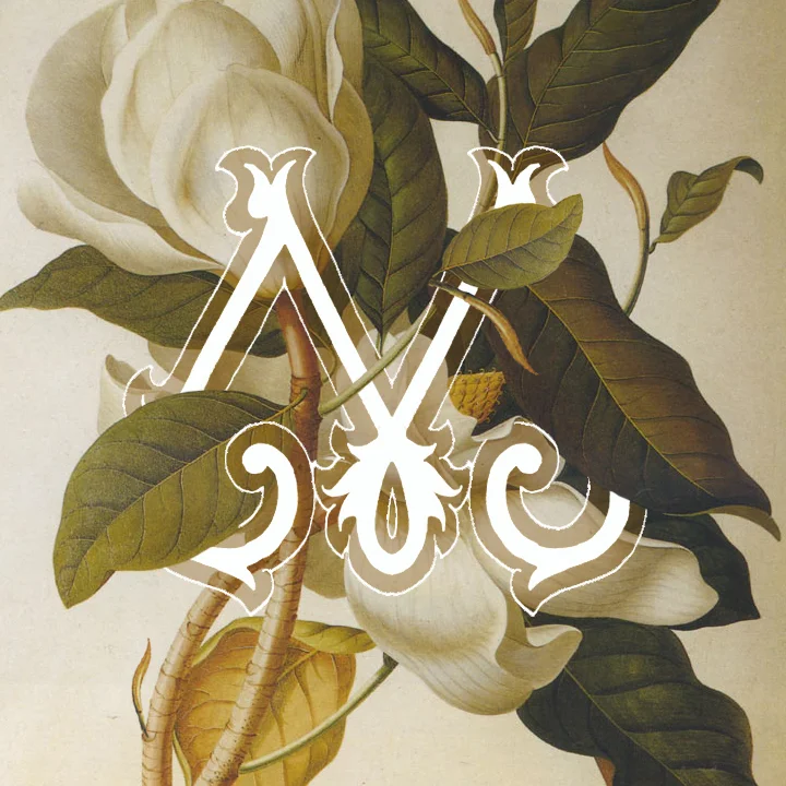 MagnoliaInsta.jpg