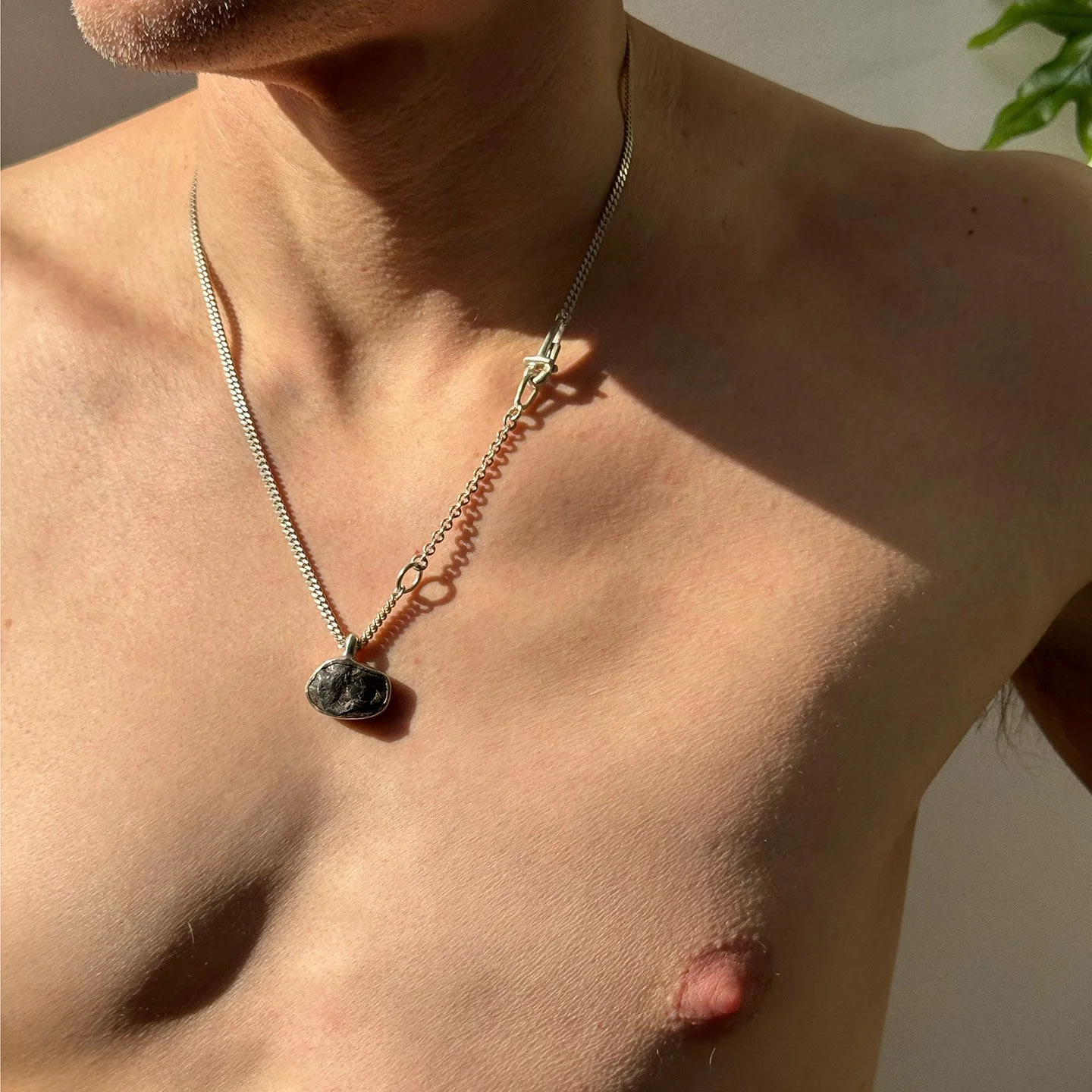 Sikhote-Alin Meteorite.jpg