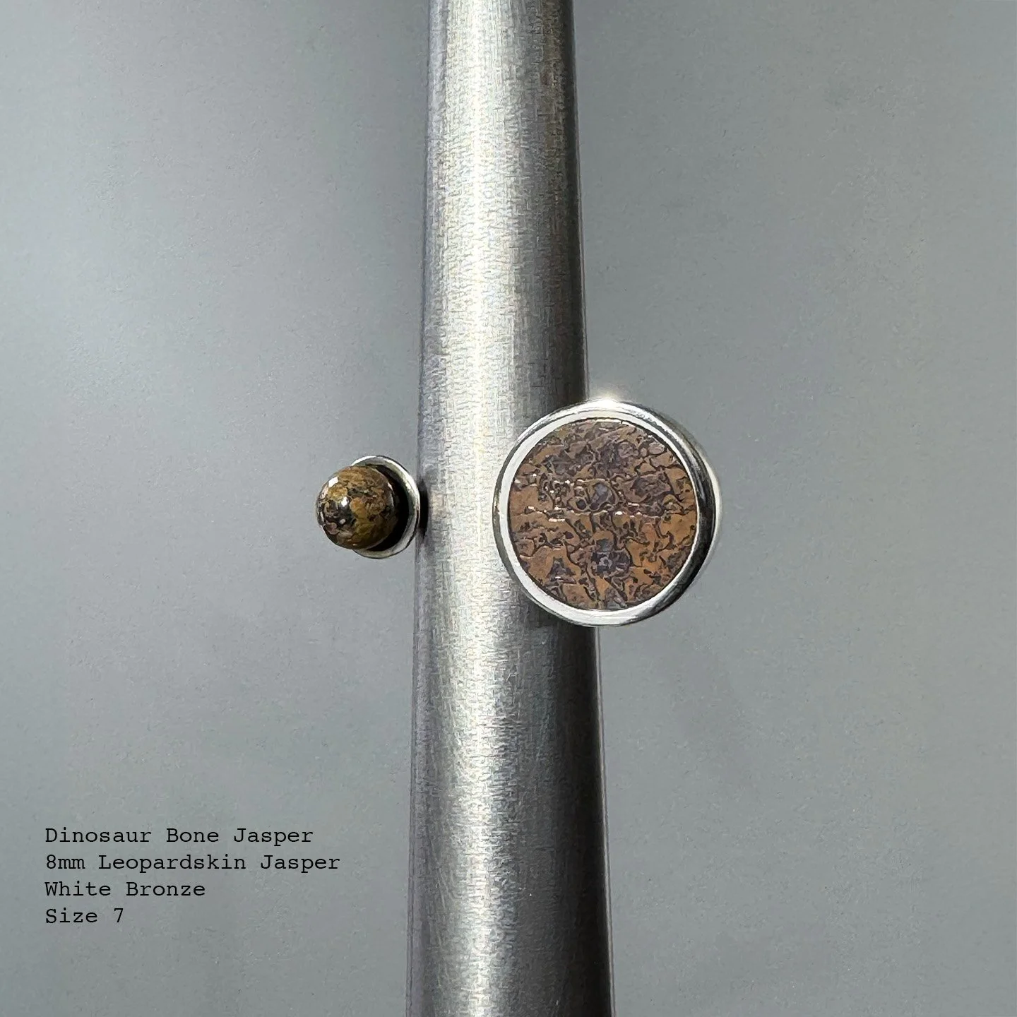 q12r04-DinosaurBone.jpg