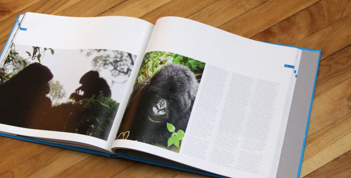 wewander_book_comp-spread.jpg