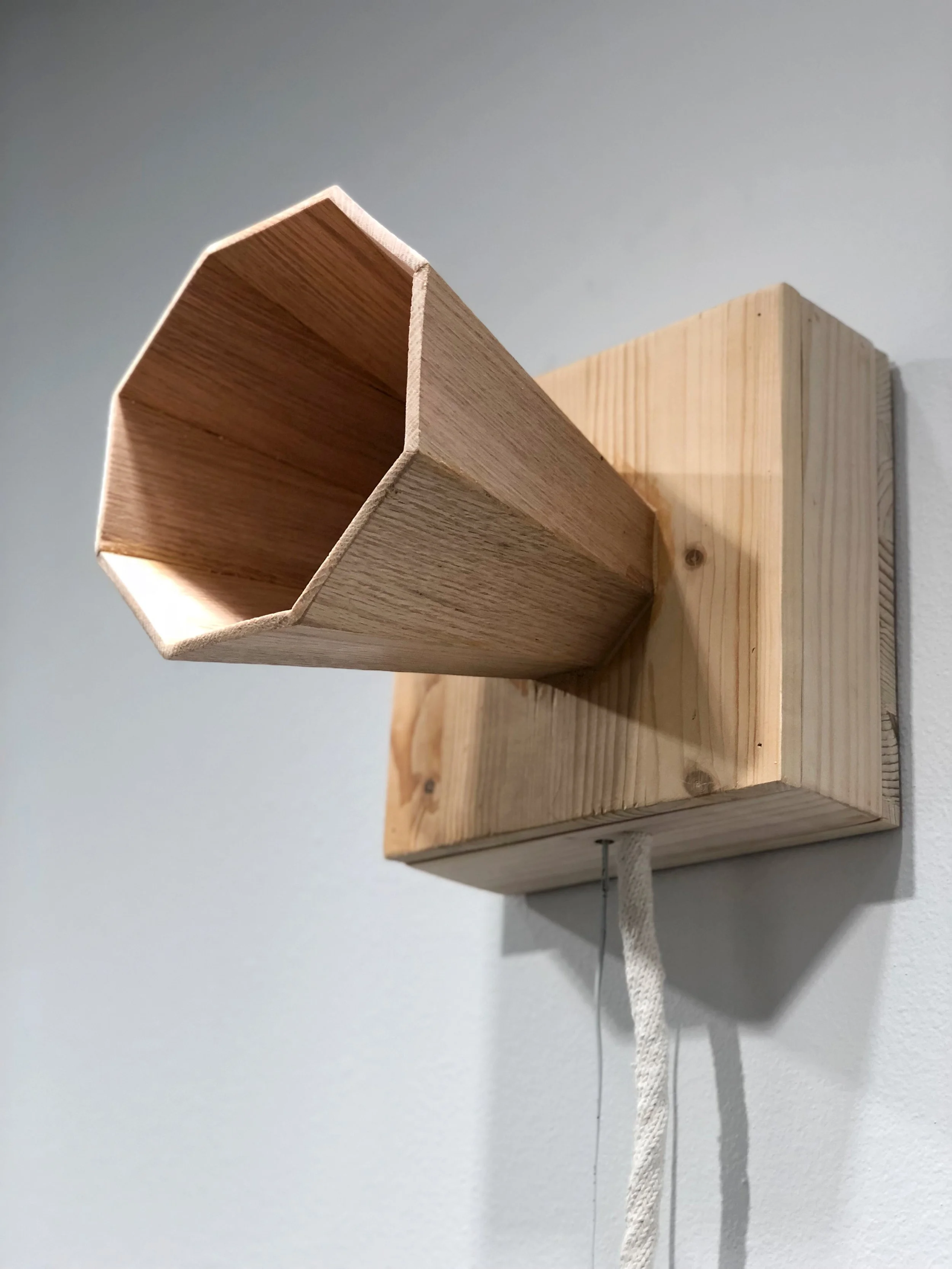 A Mic for the Marginalized (Detail)