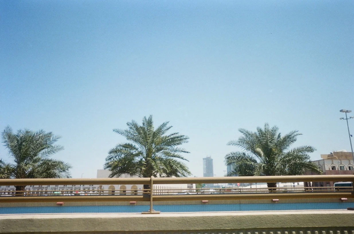 tumblr_n6gbl9wDS01s5mf7vo1_1280.jpg