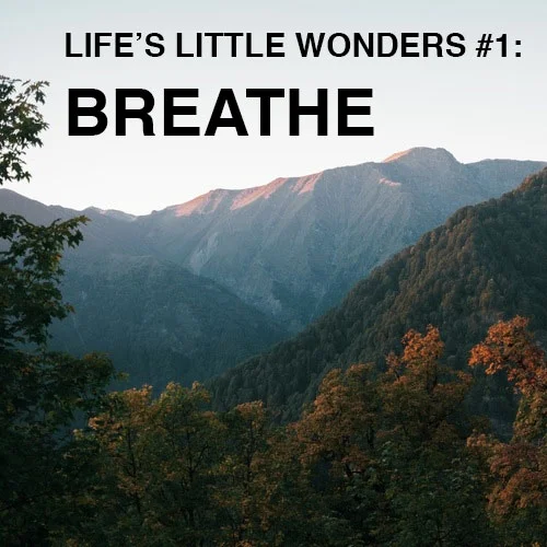 LIFE'S LITTLE WONDERS #1: BREATHE