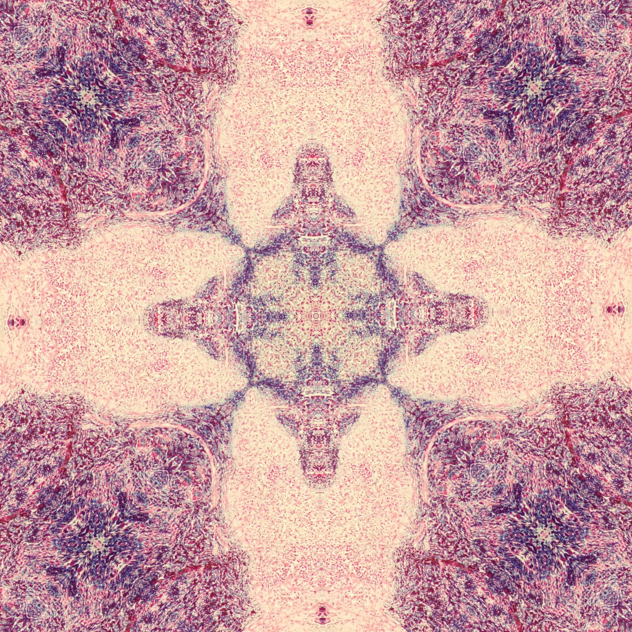 splenic tissue mandala 1.jpg
