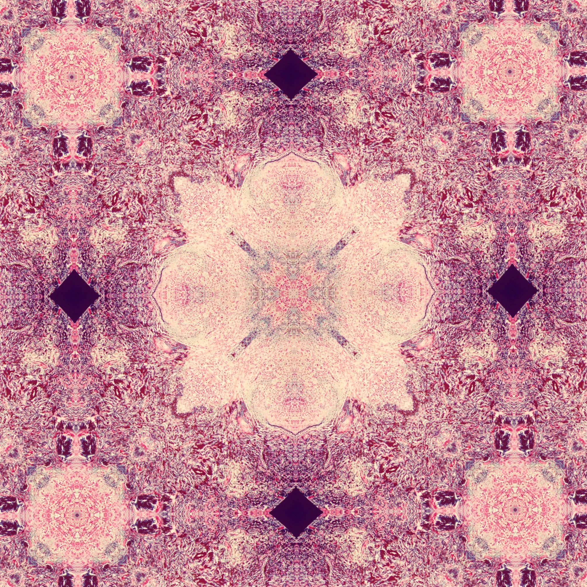 splenic tissue mandala 2.jpg