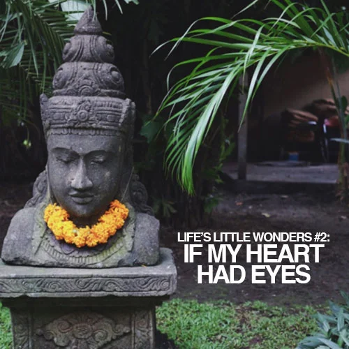 LIFE'S LITTLE WONDERS #2: IF MY HEART HAD EYES