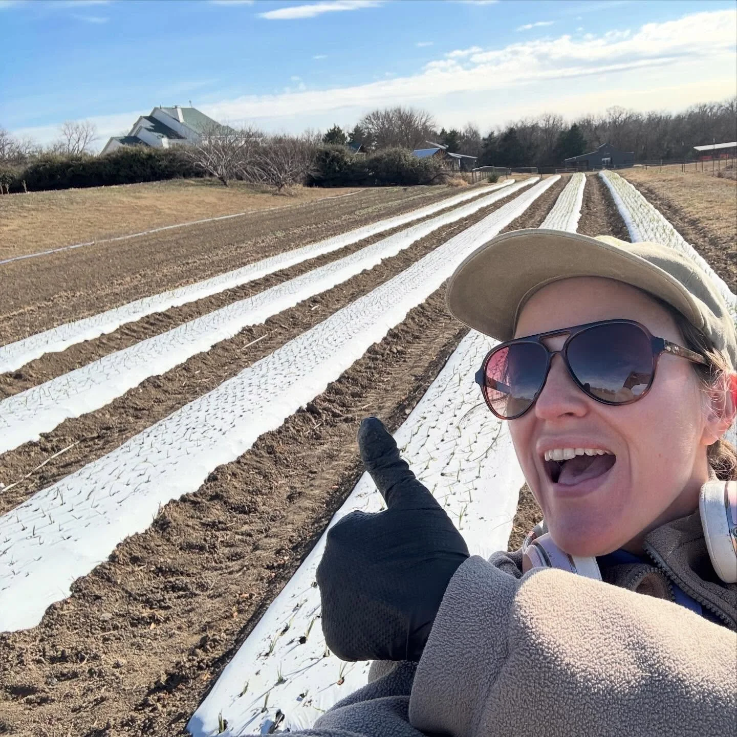 Onions 2026 are in the ground! Not pictured: Dad, who got on and off the tractor conservatively 400 times over the last 2 days