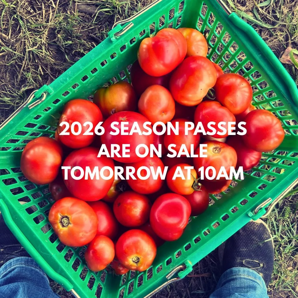 Here we go! The farm is still closed, but Season Passes for 2026 go on sale tomorrow (Sunday, March 1) at 10am. Check out the info on the website, link is in our profile! (If you got yours in the presale, you&rsquo;re good!)