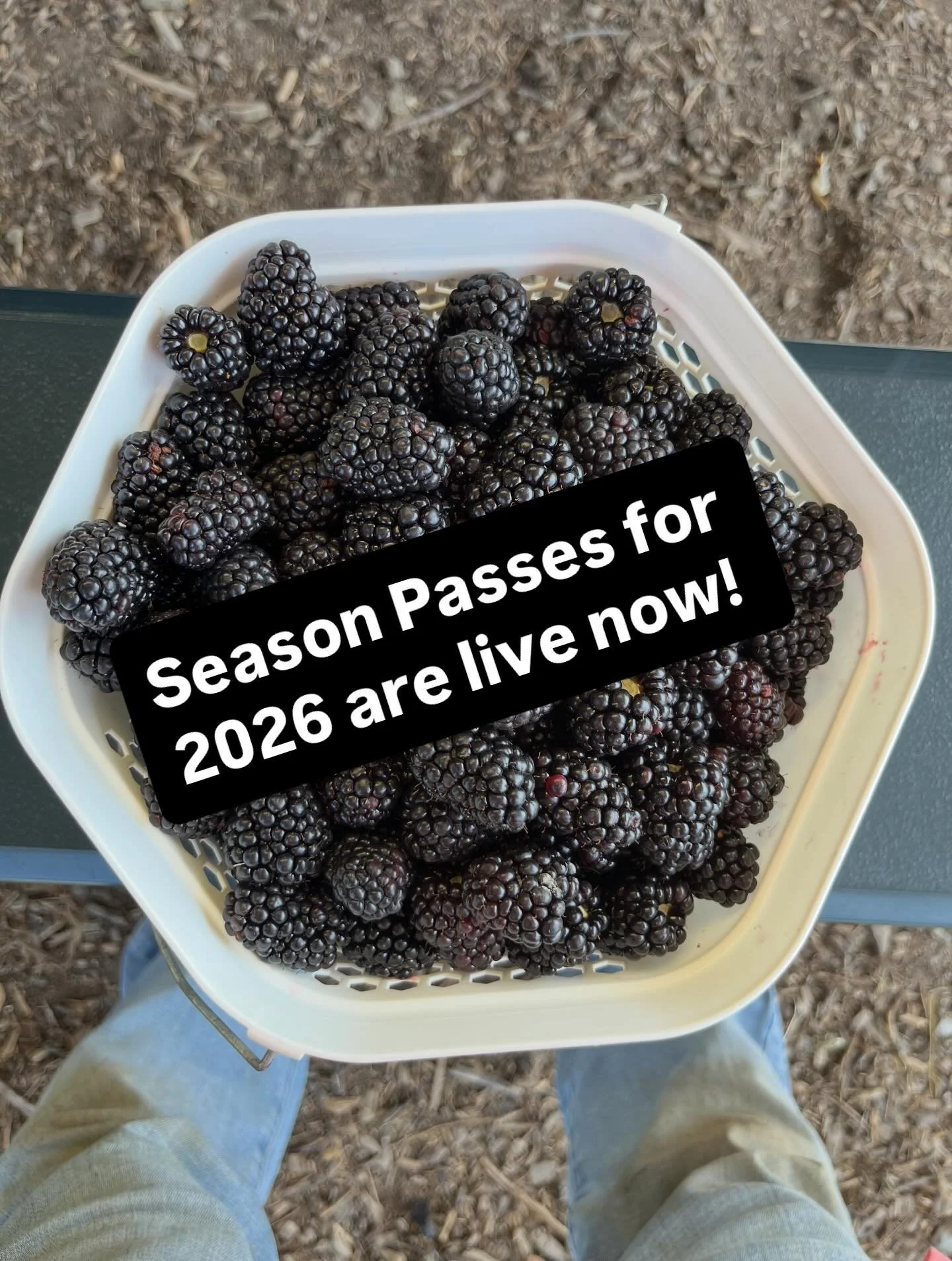 Get &lsquo;em while they&rsquo;re hot! www.purelandorganic.com/season-passes-2026