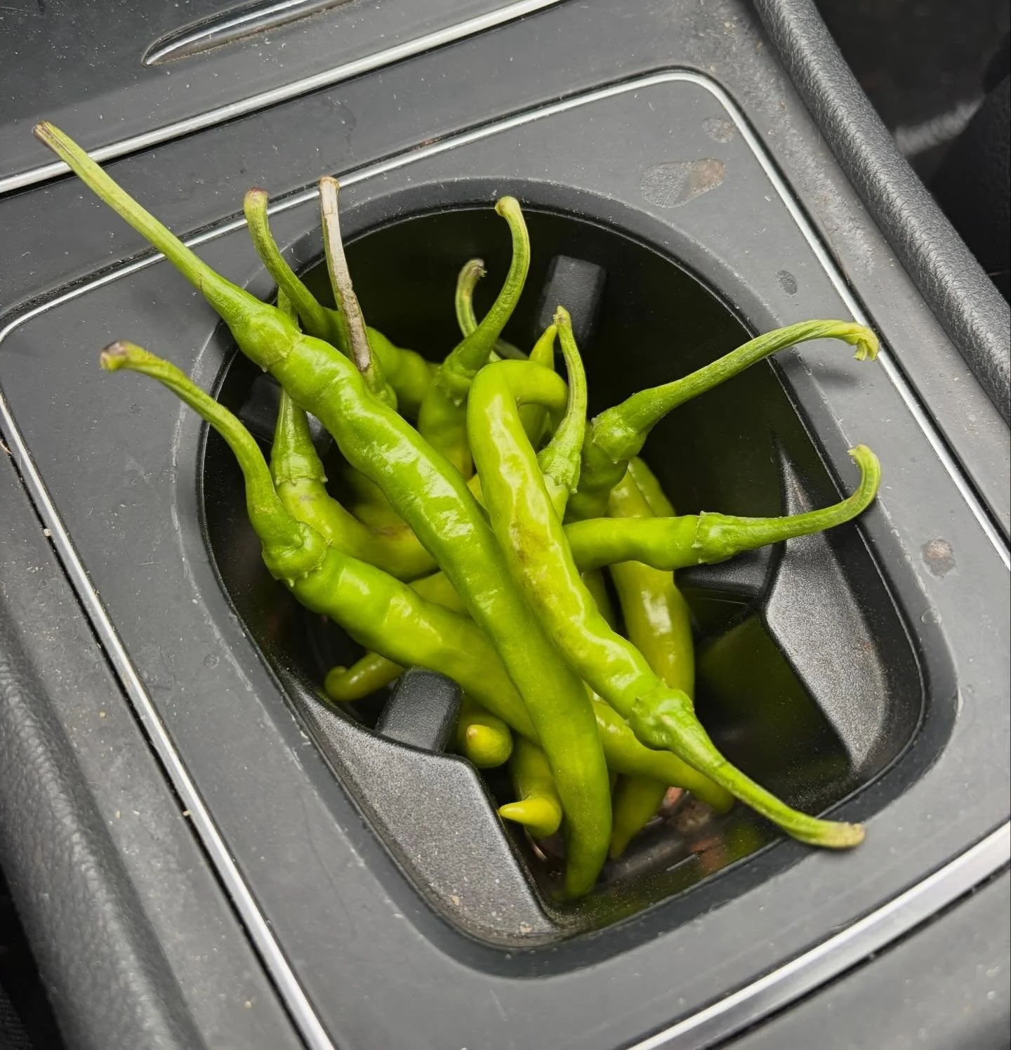 Cupholder o&rsquo; cayennes. Stay weather aware this afternoon and evening, friends! Tune in to our buddy @pow_ponder_on_weather for local updates. 🤞😅
