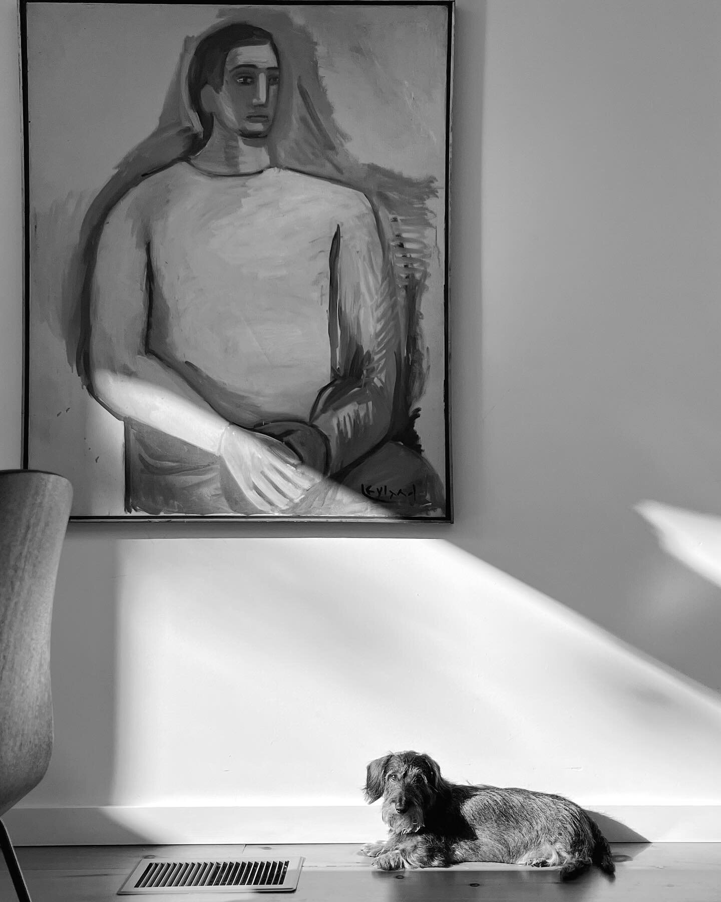 Sun, with Dog. 
.
.
#wirehairdachshund #dachshund #dacshundlove #dachshundsofinstagram #bnw_captures #bnw_greatshots #bnw #bnwphotography #bnwmood #bnwzone #bnwsouls #bnwphoto #bnwlife #bnwportrait