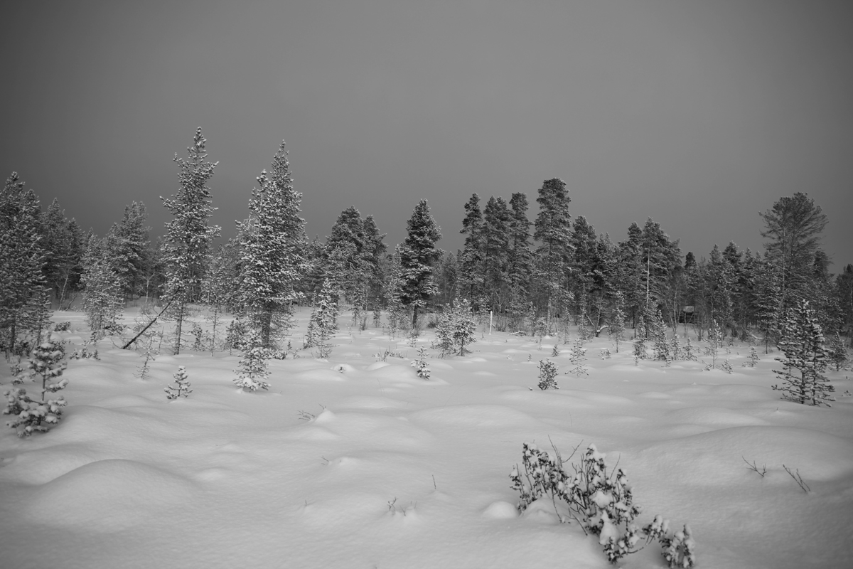  Finland 2012   