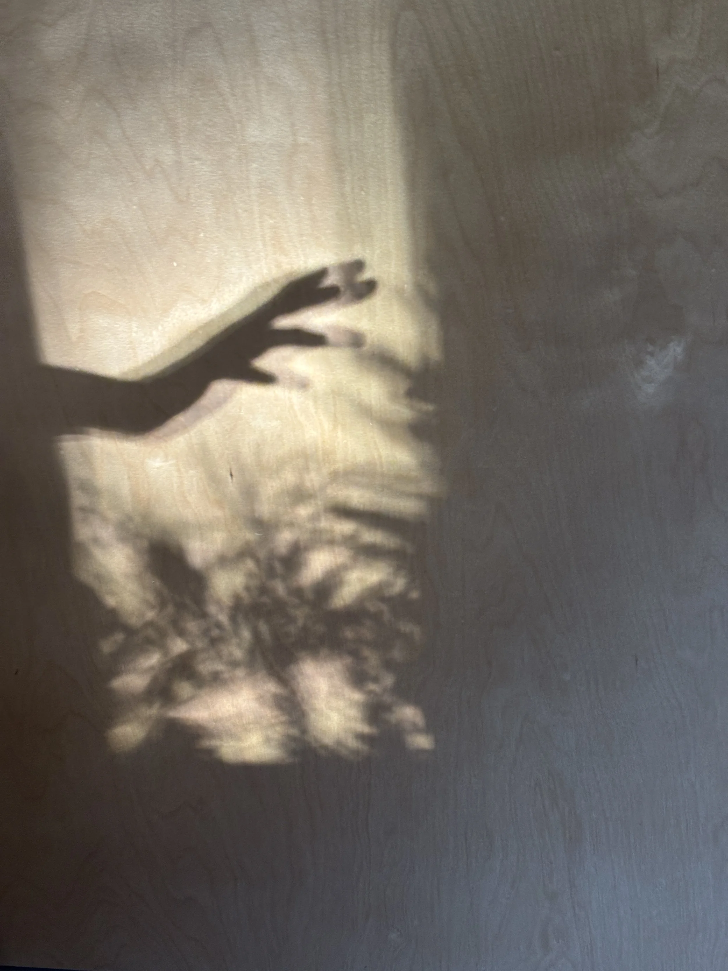 Shadows of a hand and fingers cast on a textured wall
