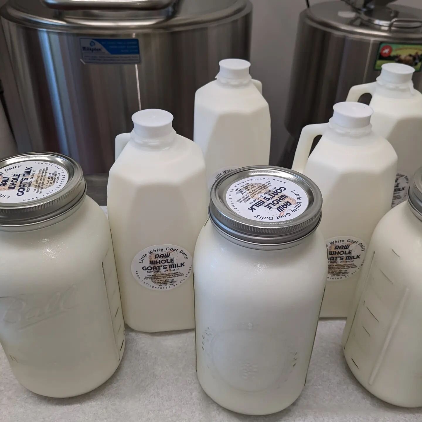 Bottling sweet fresh goat milk is one of the quiet peaceful tasks. Now offering returnable glass half gallons for $11 plus a $3 deposit. BPA free recyclable plastic jugs are $10.
Lots of super eggs and maple breakfast sausage for your sunny breakfast