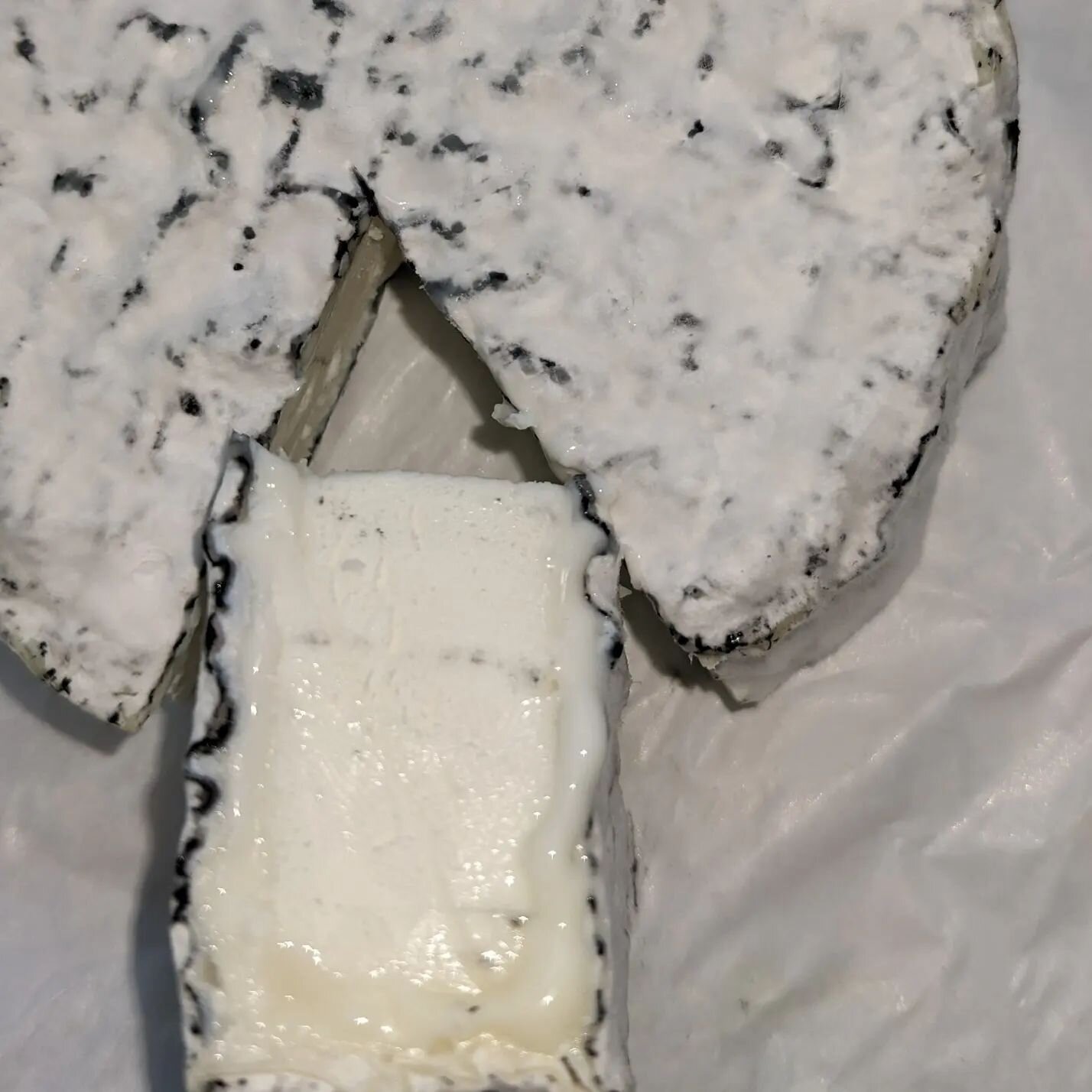 Stella Blue, a small ashed bloomy rind disc that has the piquant tease of blue cheese from the addition of p. roqueforti culture. Midsummer pasture flavors bursting out all over. You can taste how happy the goats are! My favorite to make and to eat. 