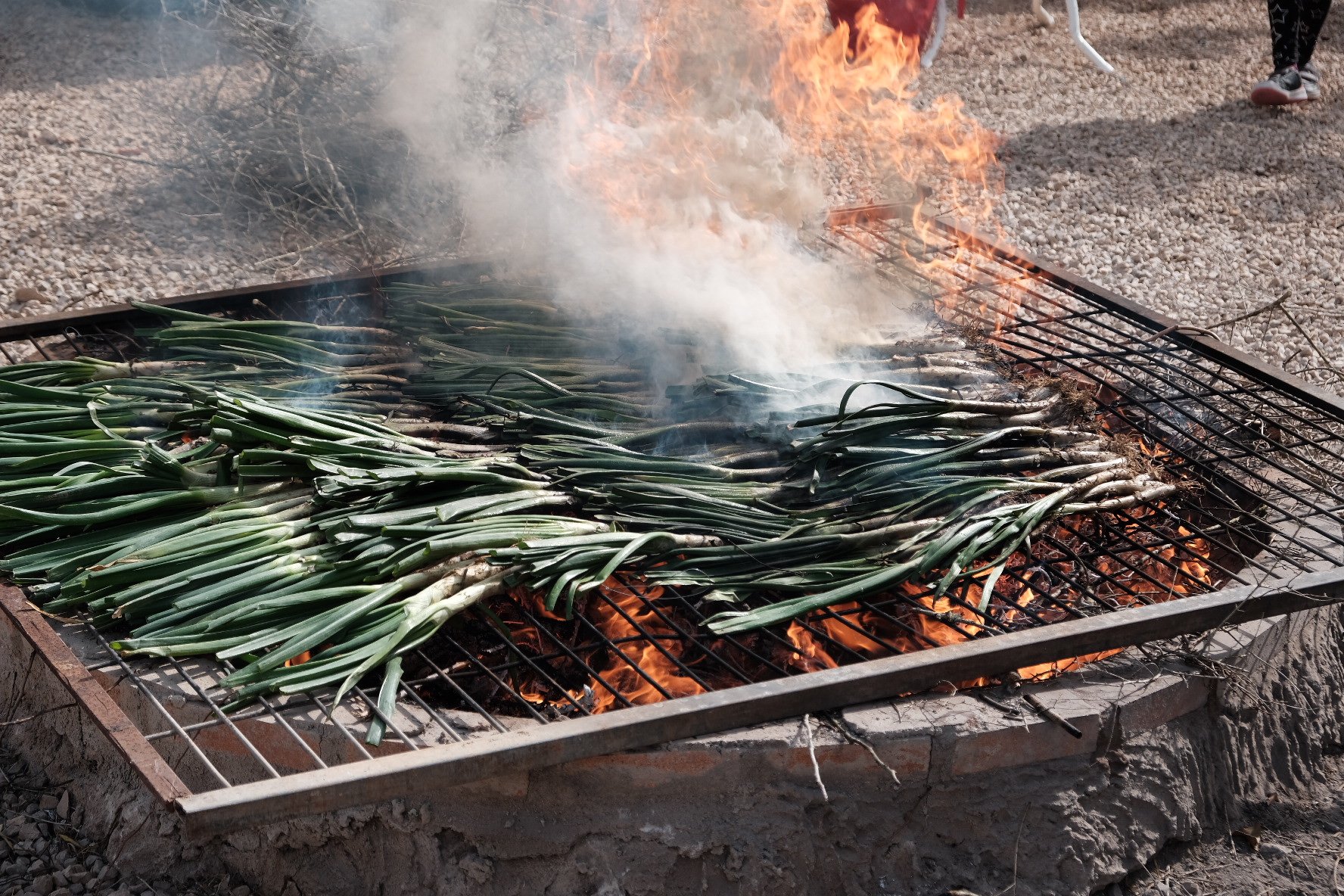 The Ritual of the Flame: Embracing the Calçotada Season