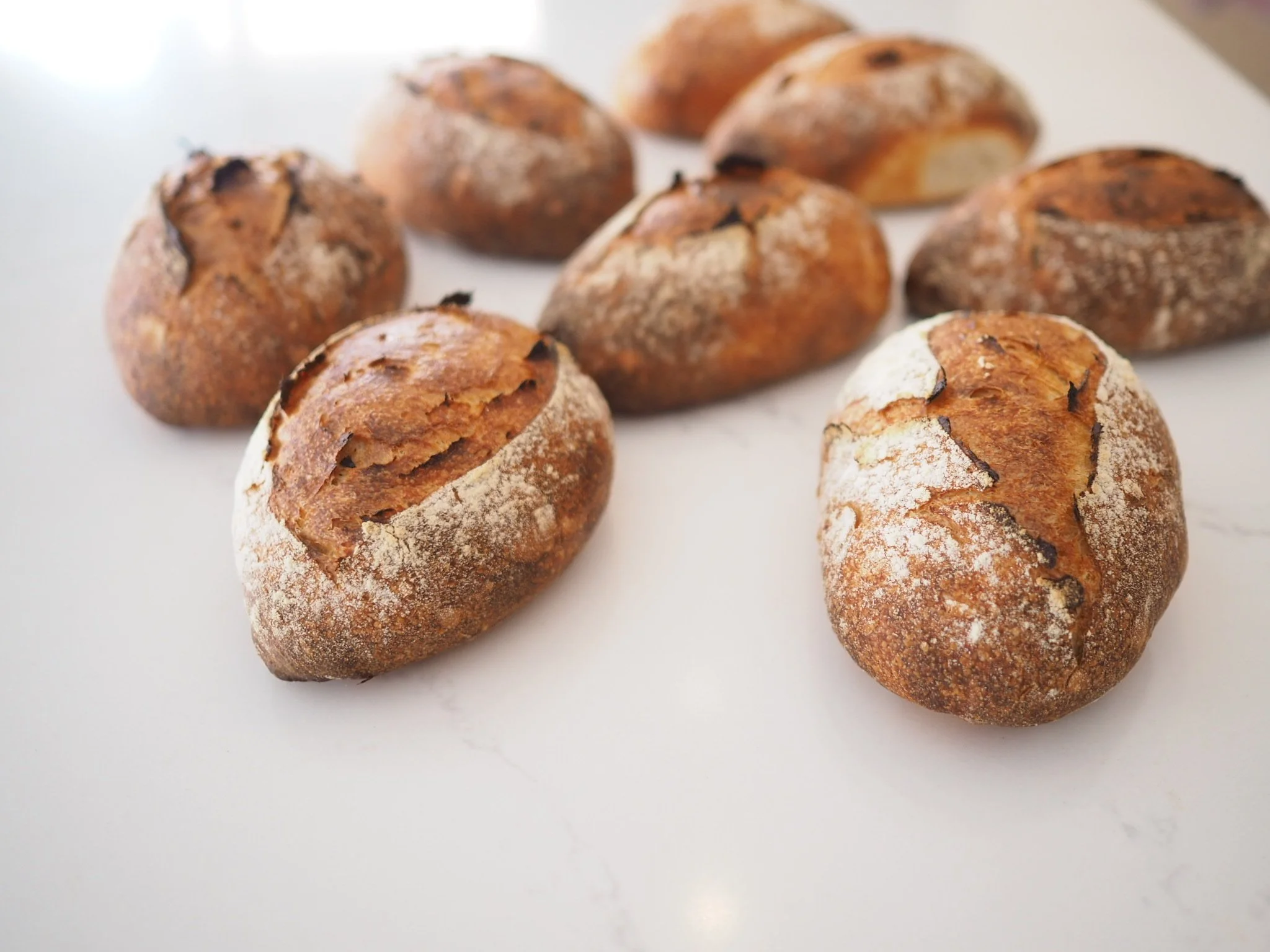 Demystifying Sourdough, Popular Breads Perfected &amp; Art of Fresh Pasta