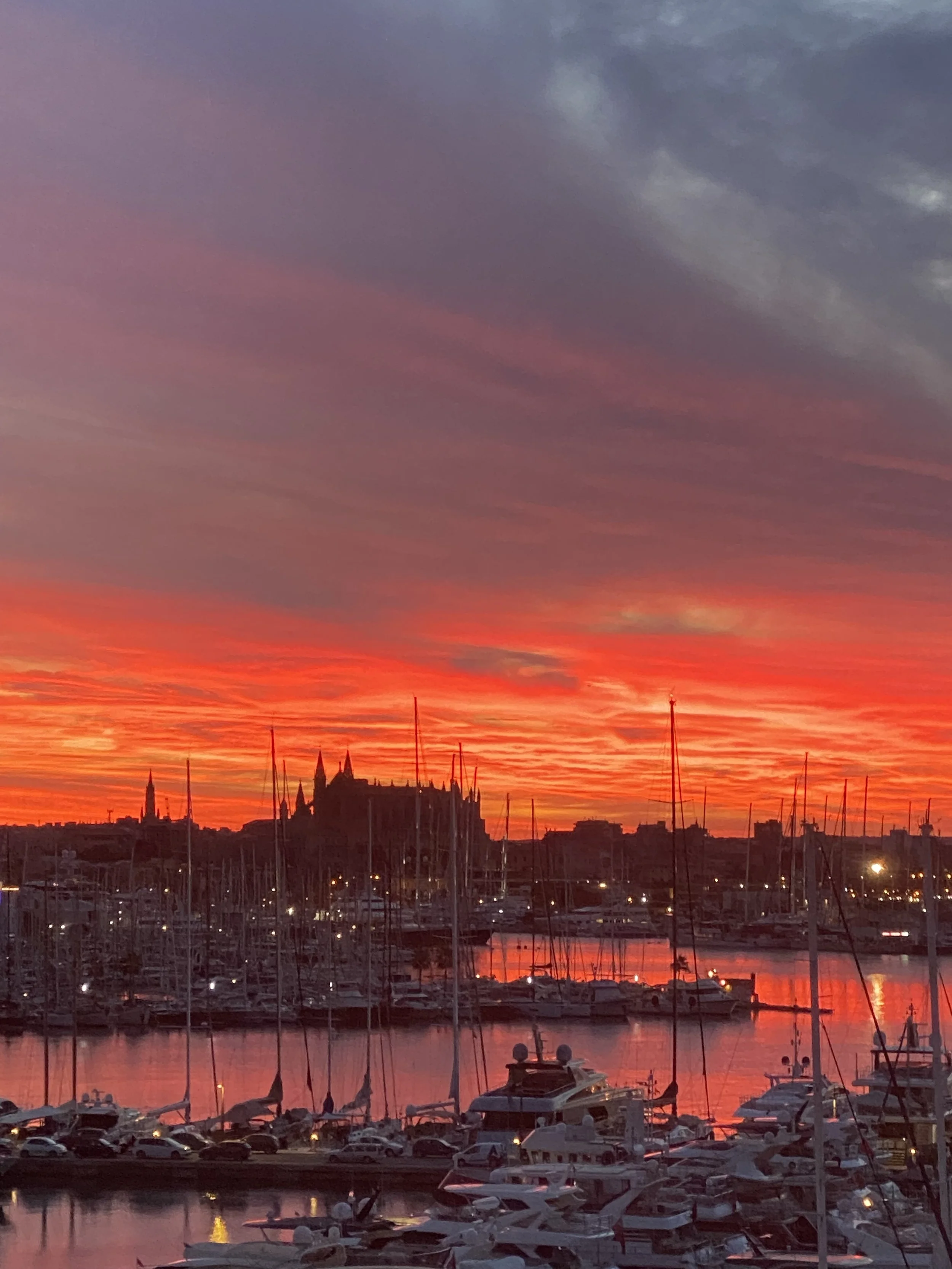 Delicious Food to Bring for a Great Yacht Charter Day