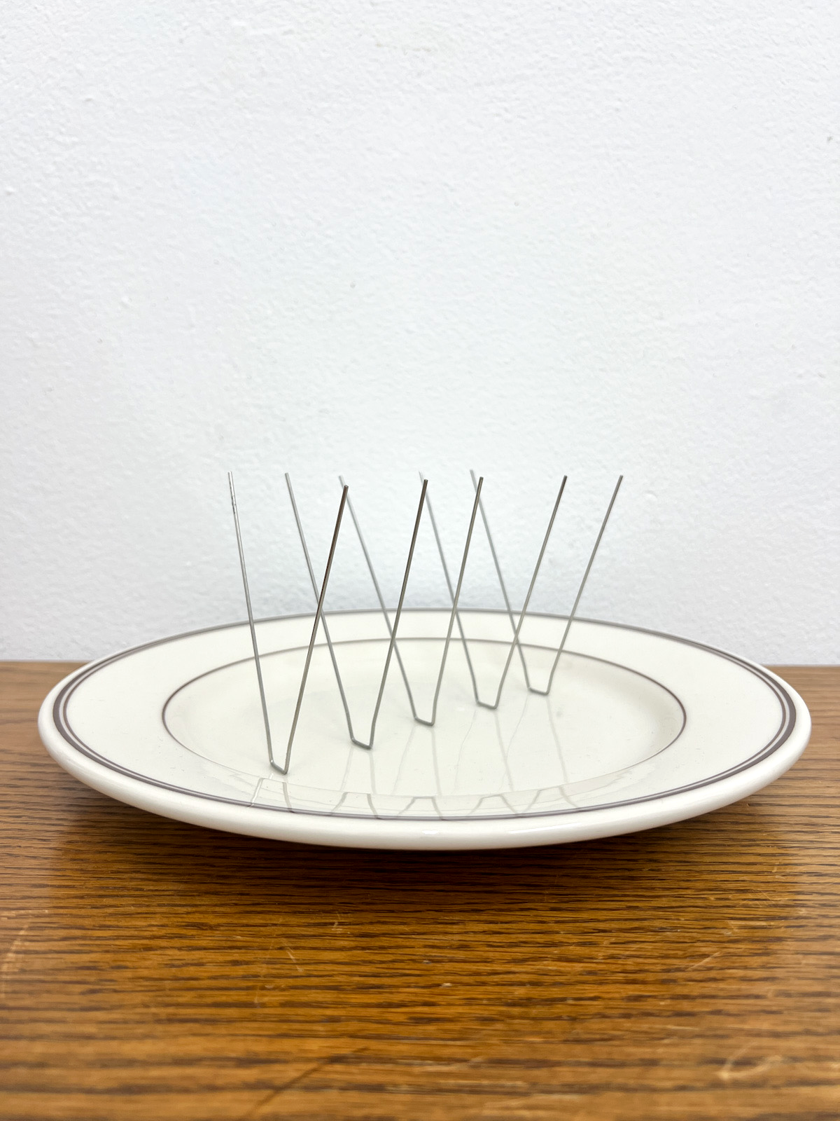 "Control" | Ceramic dinner plate and metal bird spikes