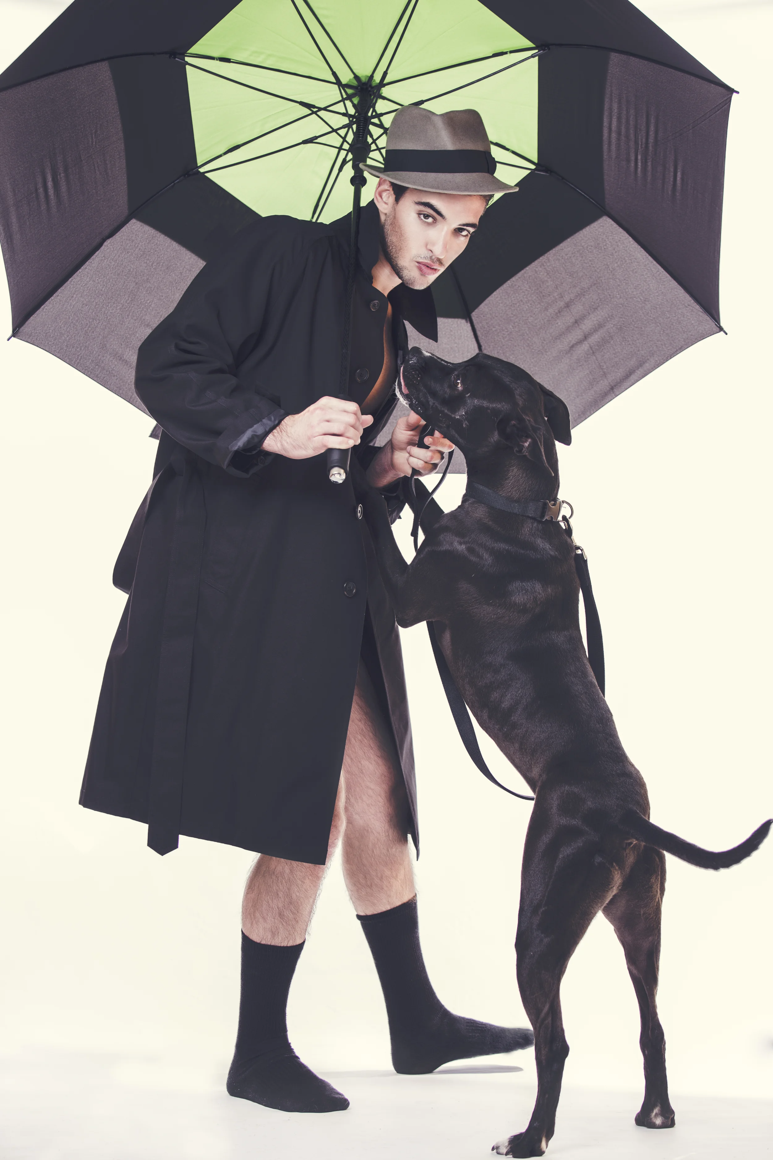 Zach Alston - Raining Cats and Dogs-13.jpg