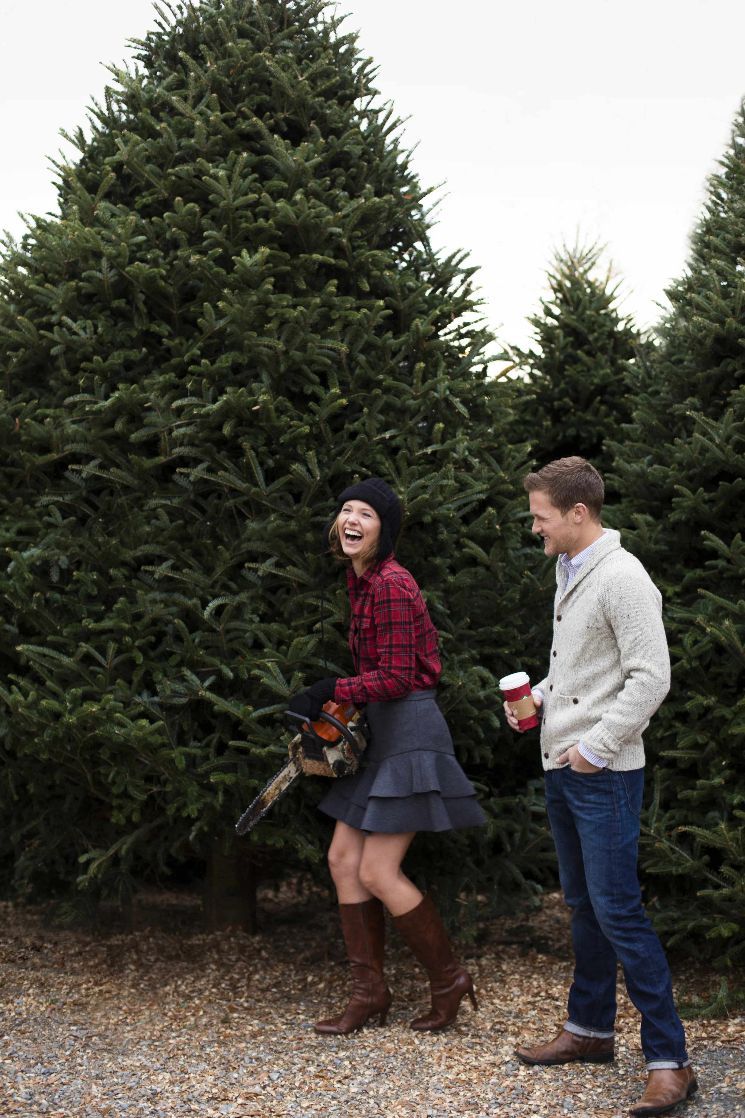 cutting tree.jpg