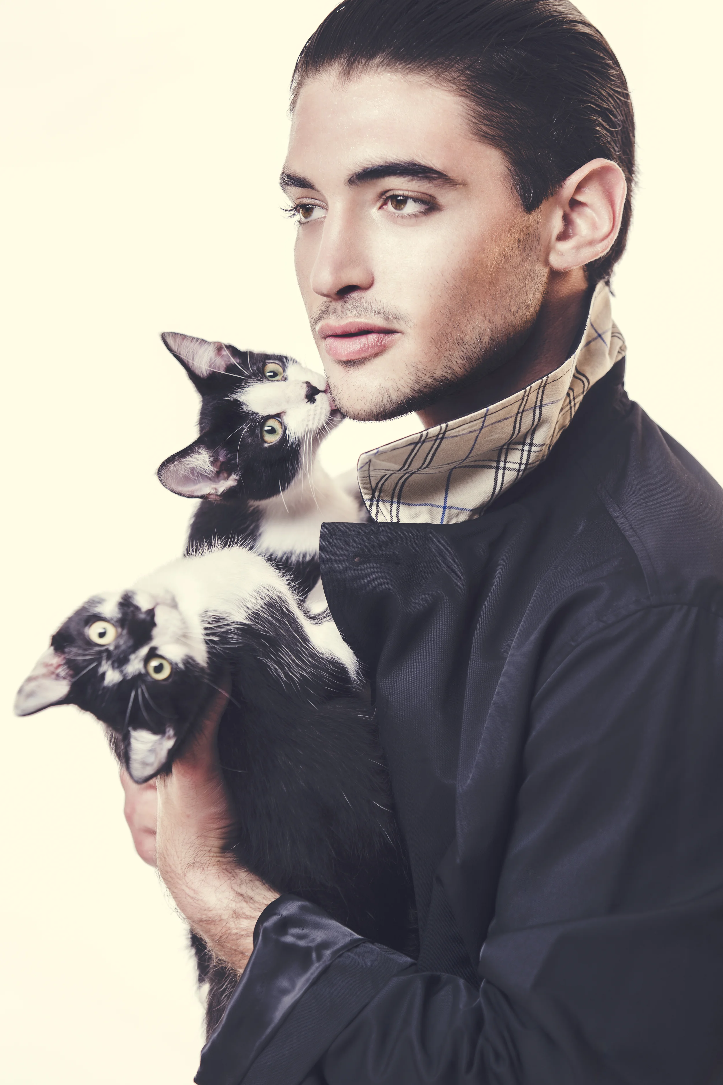 Zach Alston - Raining Cats and Dogs-7.jpg