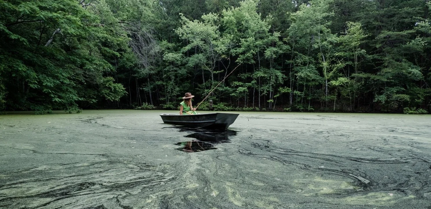Whitley On The Pond.jpg