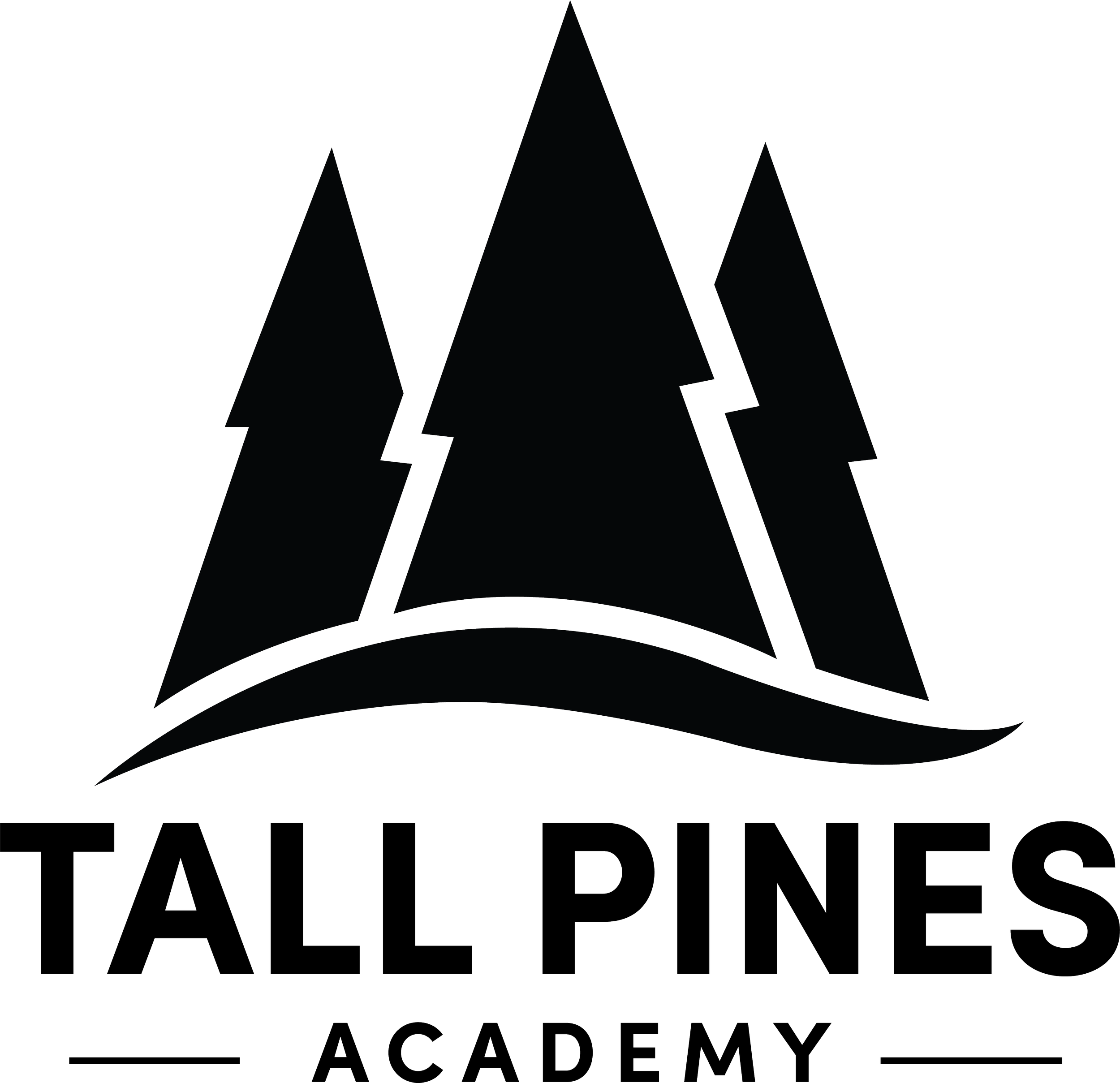 TPA_Logo_Transparent (1).png