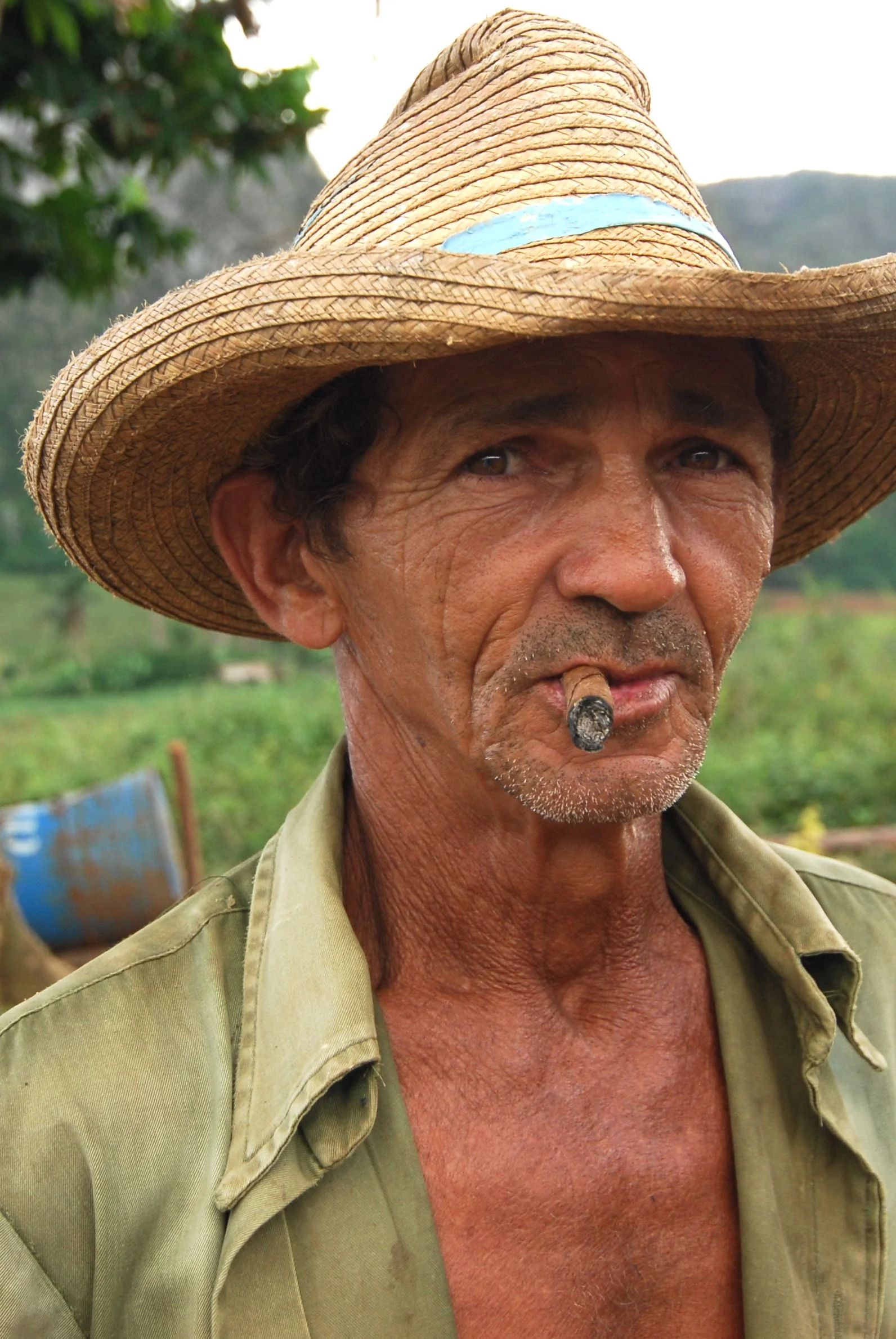 Tobacco Farmer