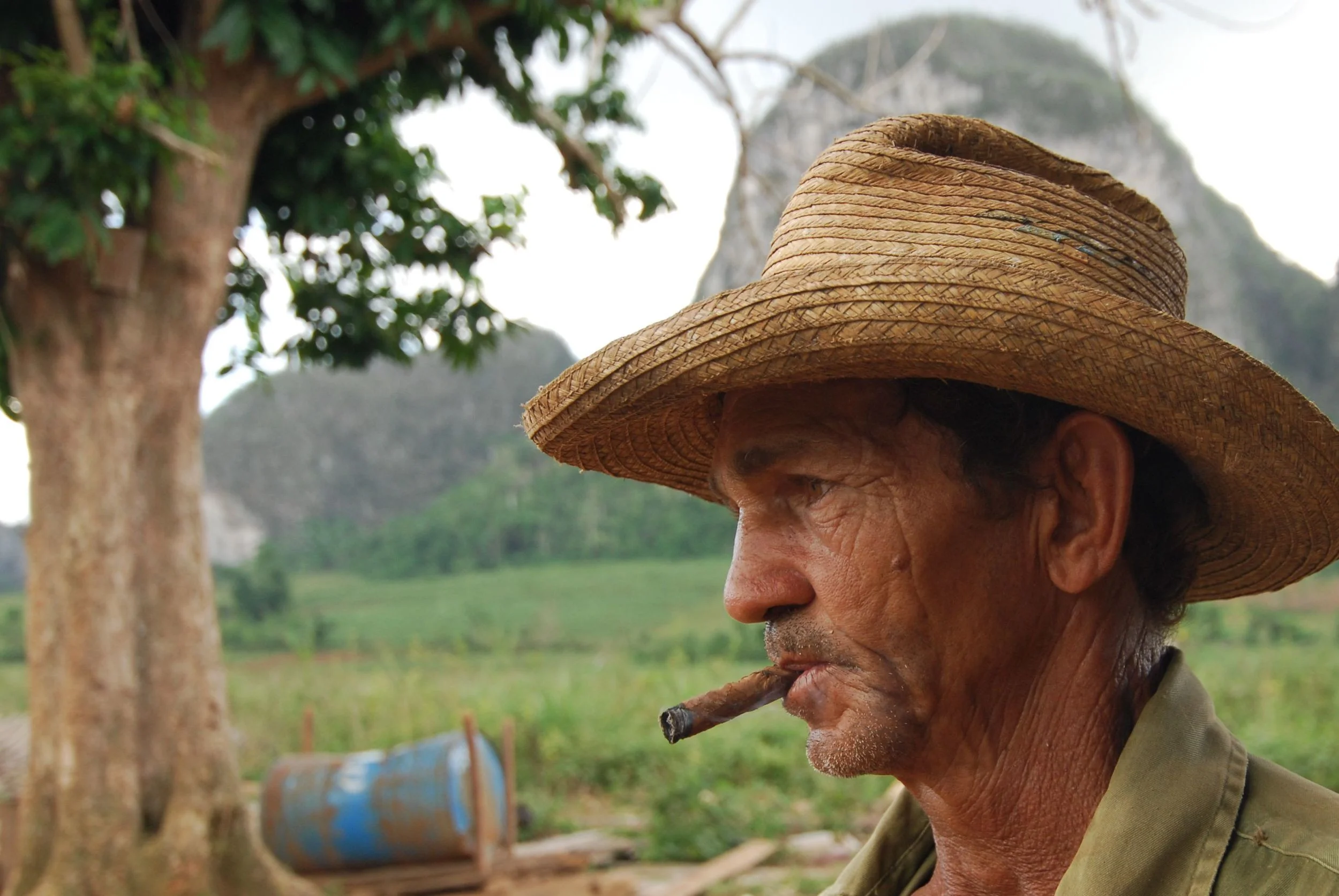 Tobacco Farmer Profile