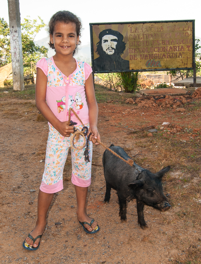 Walking the Pig