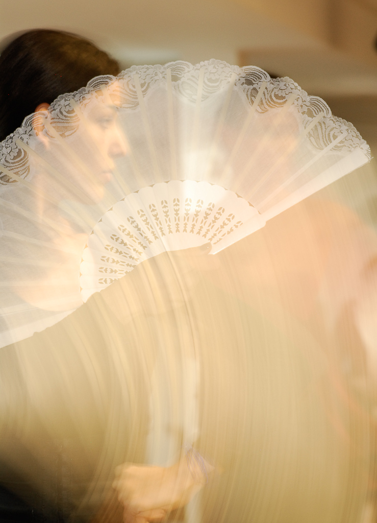Flamenco Dance School 2