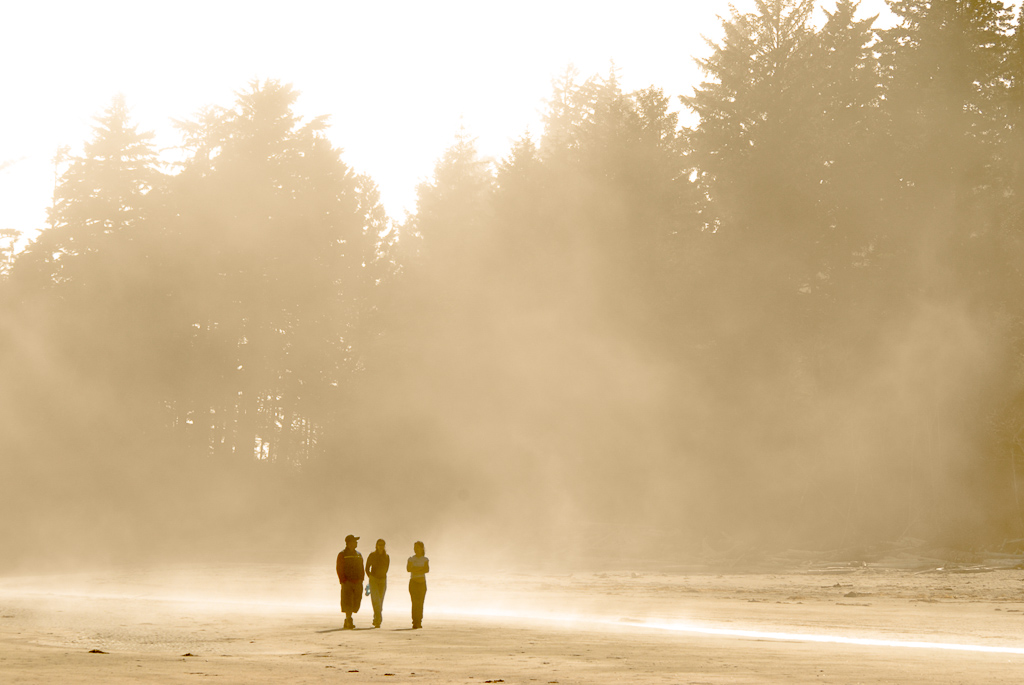 Out of the Mist