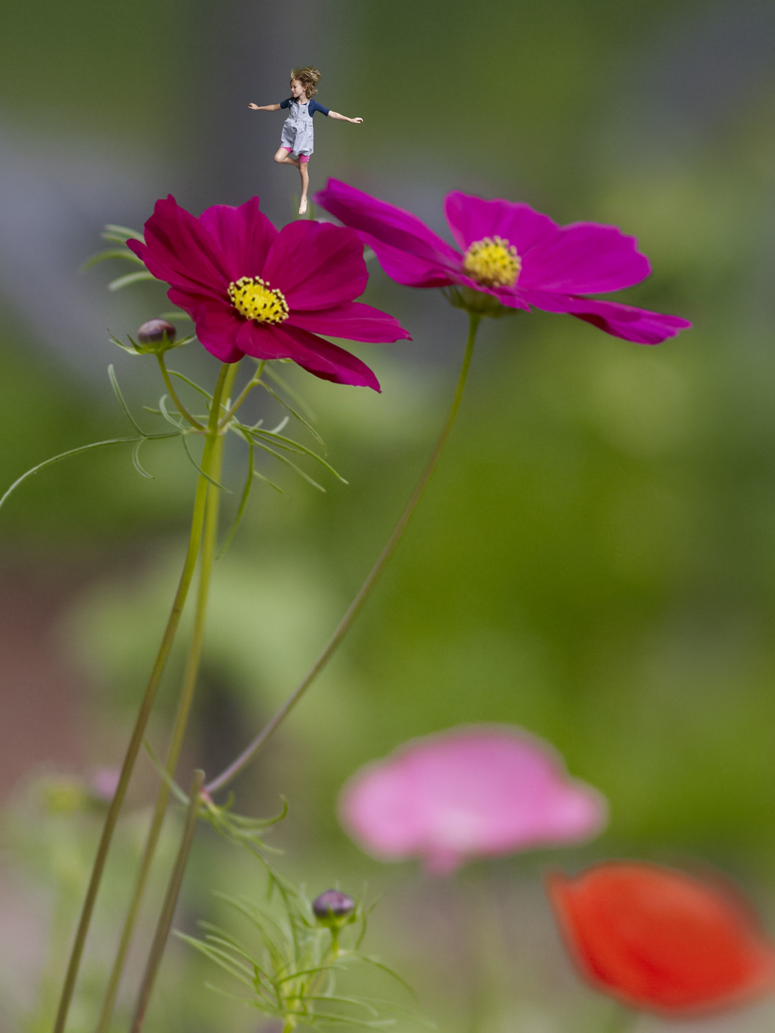 2012_07_14_Giades_Garden_final3-2.jpg