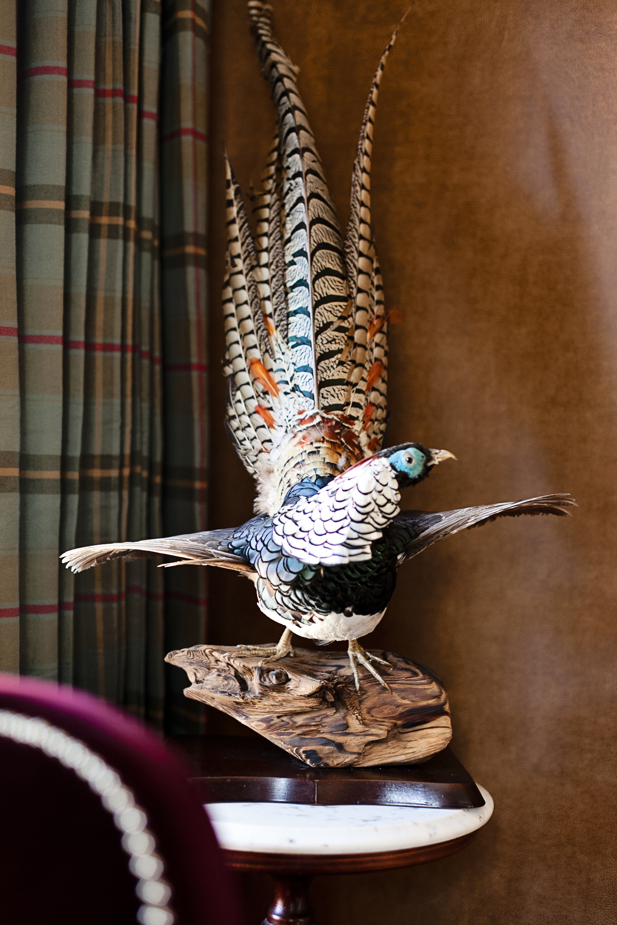LISA GILMORE DESIGN | LUXURY GUEST HOUSE